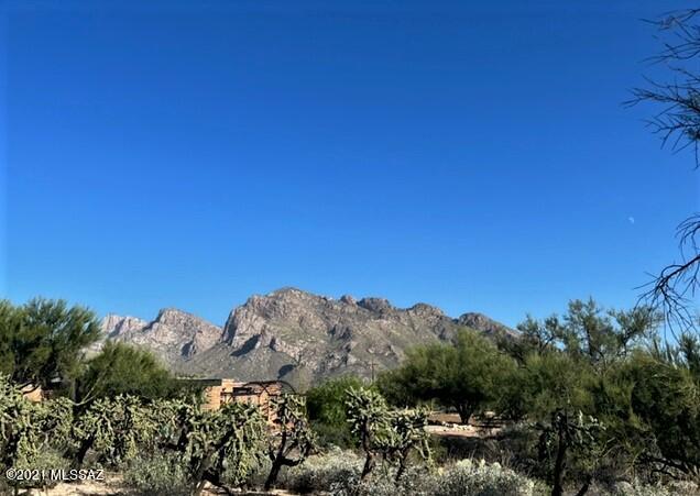 Oro Valley Estates - Land