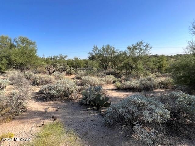 Oro Valley Estates - Land