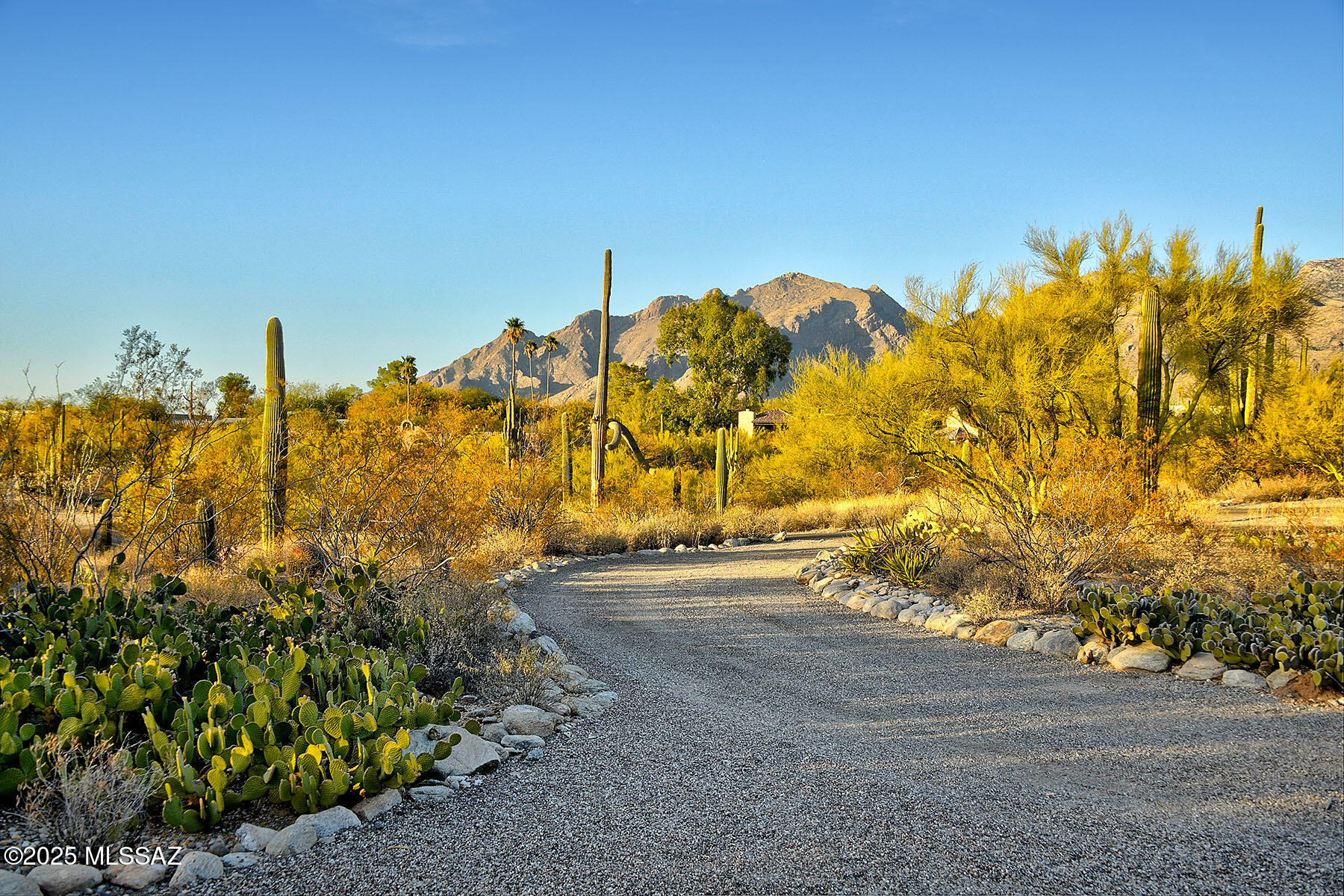 Catalina Foothills Estates NO. 5 - Residential