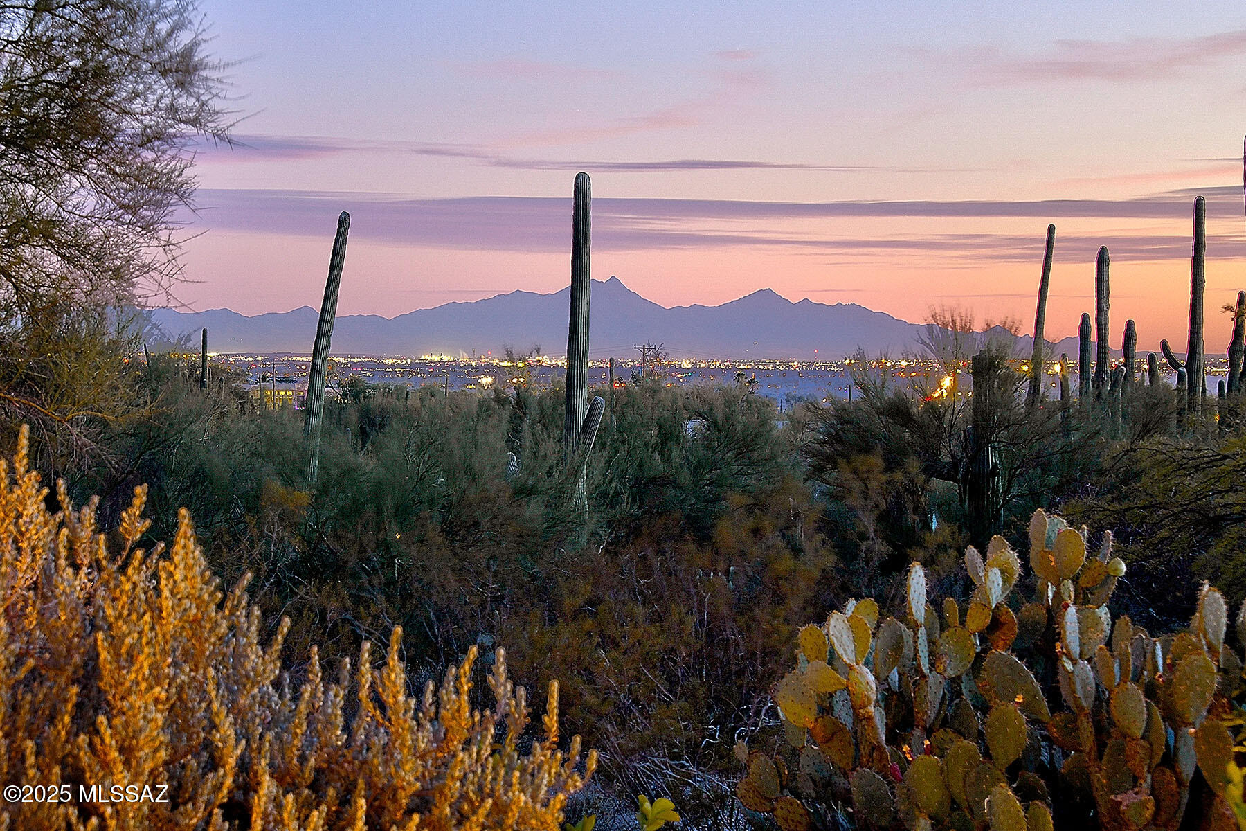 Catalina Foothills Estates NO. 5 - Residential