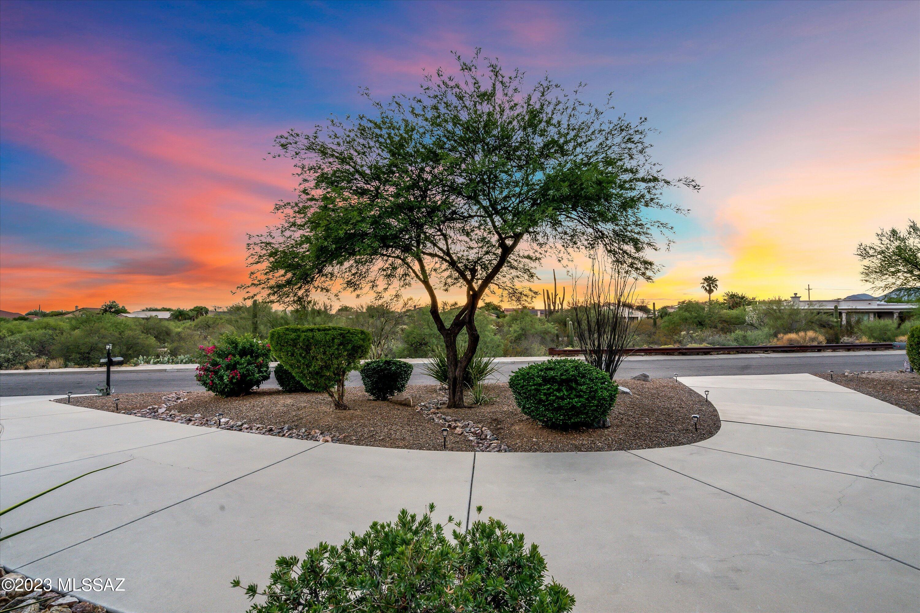 Desert Vista (1-205) - Residential