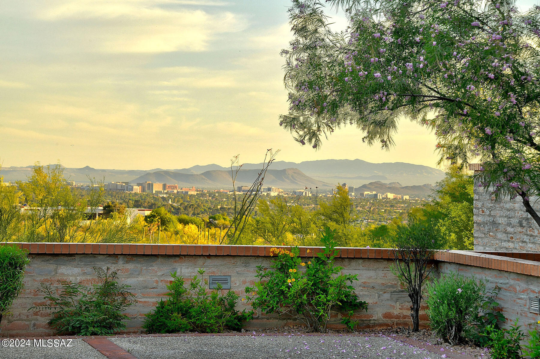 Catalina Foothills Estates NO. 10 (1-72) - Residential