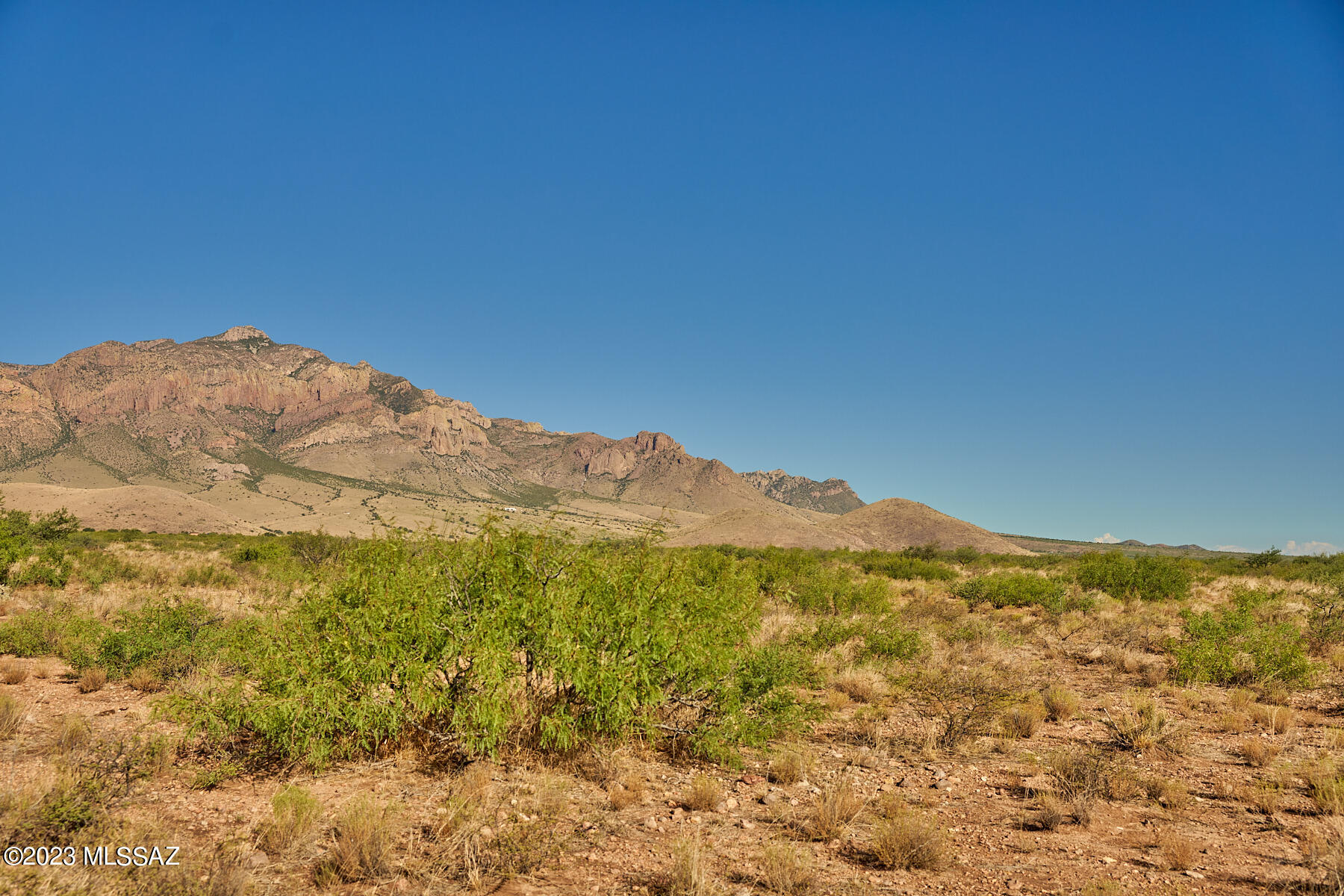 Out Of Pima County - Land