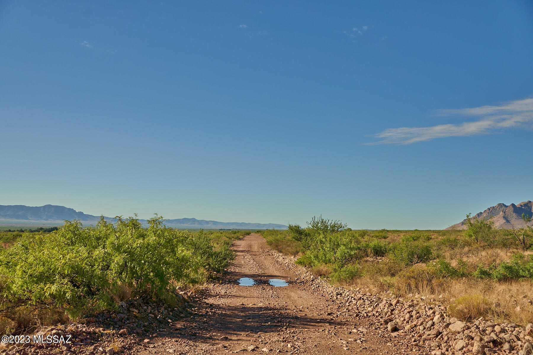 Don't miss your chance to own a piece of Southern Arizona high desert natural beauty. This 10 Acre lot is located just east of Sulphur Canyon and has awe-inspiring views of the majestic Chiricahua and Peloncillo Mountains. Imagine waking up to breathtaking sunrises and savoring the tranquility of high desert living. Bring your horse and take a ride to National Forest.  Grab your binoculars and head out for world class birding.  Enjoy some of the darkest night skies in the U.S. Under 1000 ft to nearest power pole from center of lot.  Roads on West and North side of parcel.  Recently surveyed and subdivided, 3 additional lots for sale as well.  Zoned RU-4, dividable lot, manufactured homes allowed.  Seller Financing Options available.