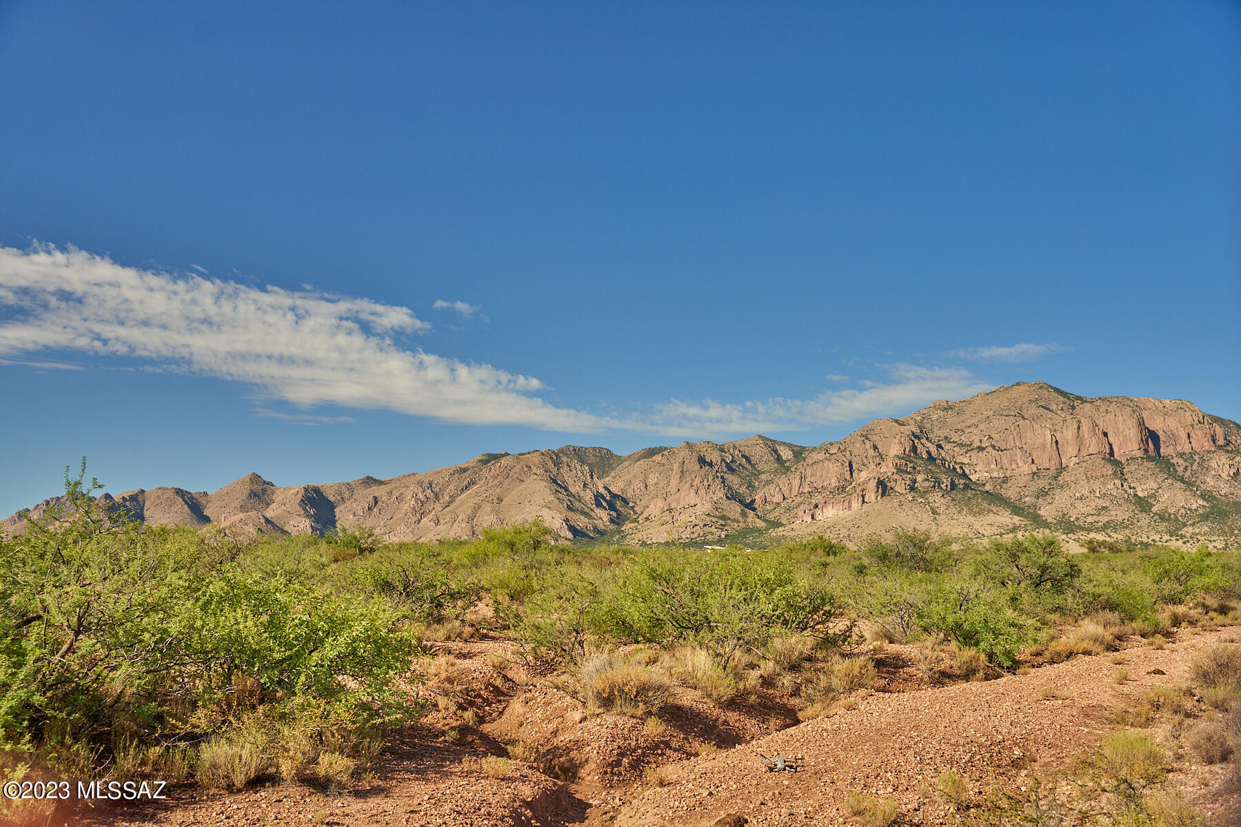 Out Of Pima County - Land