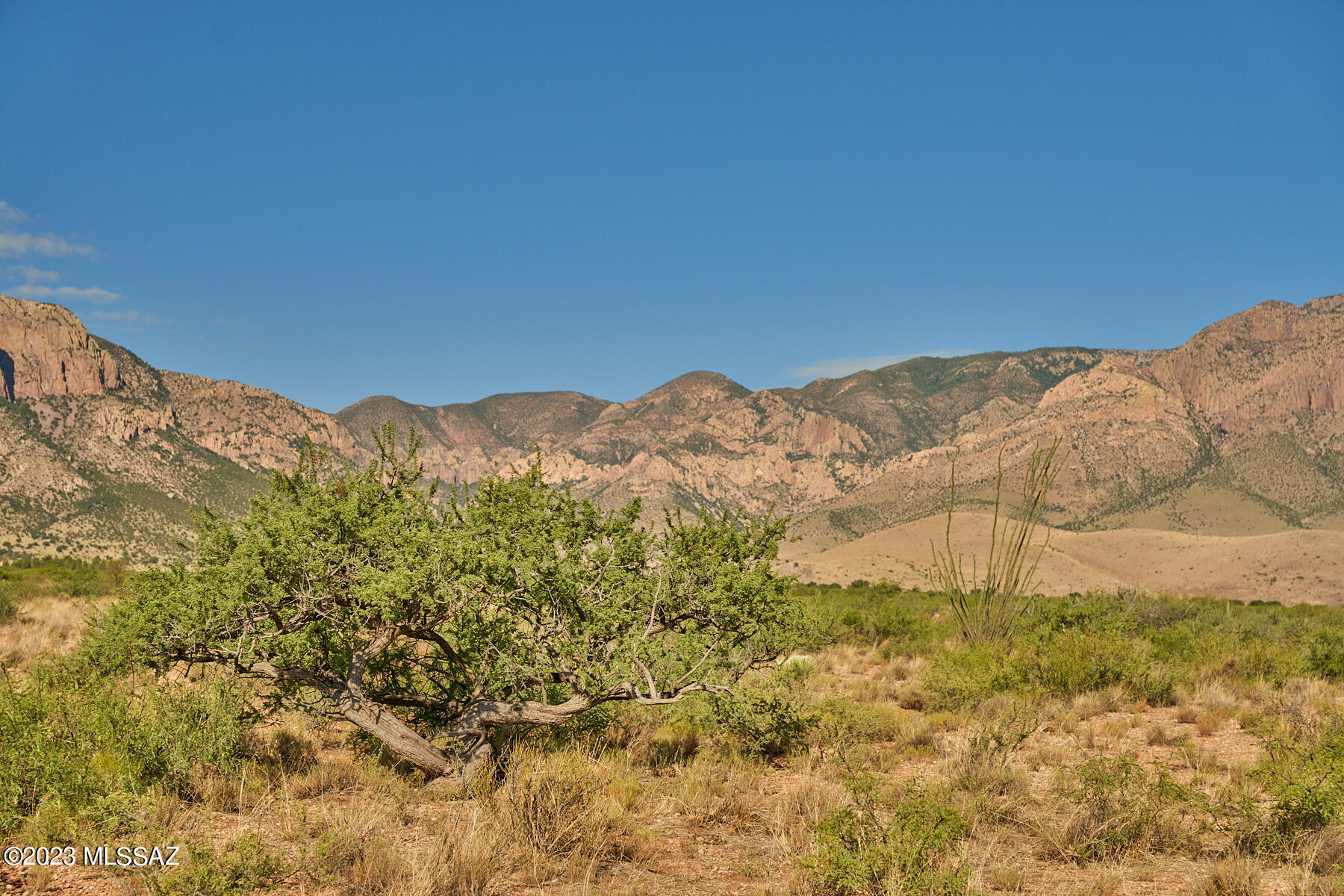 Out Of Pima County - Land