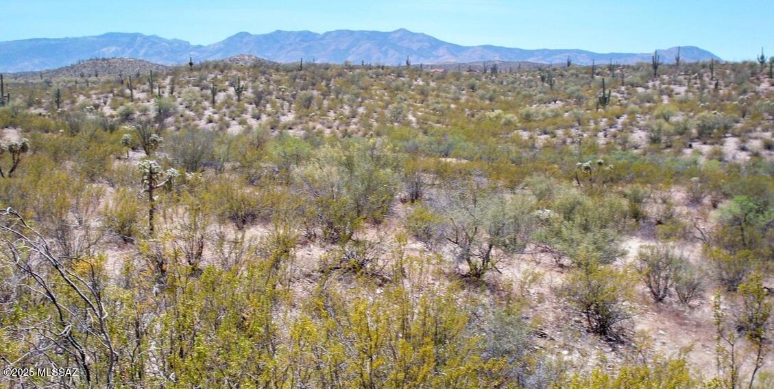 PRICED TO SELL at $14,900!    Visit this secluded desert retreat of five acres with mature desert vegetation  and saguaros, rolling terrain and majestic views in all directions, a private getaway for camping and peace and quiet! Plan a day trip and come visit and explore this unique part of nature!
