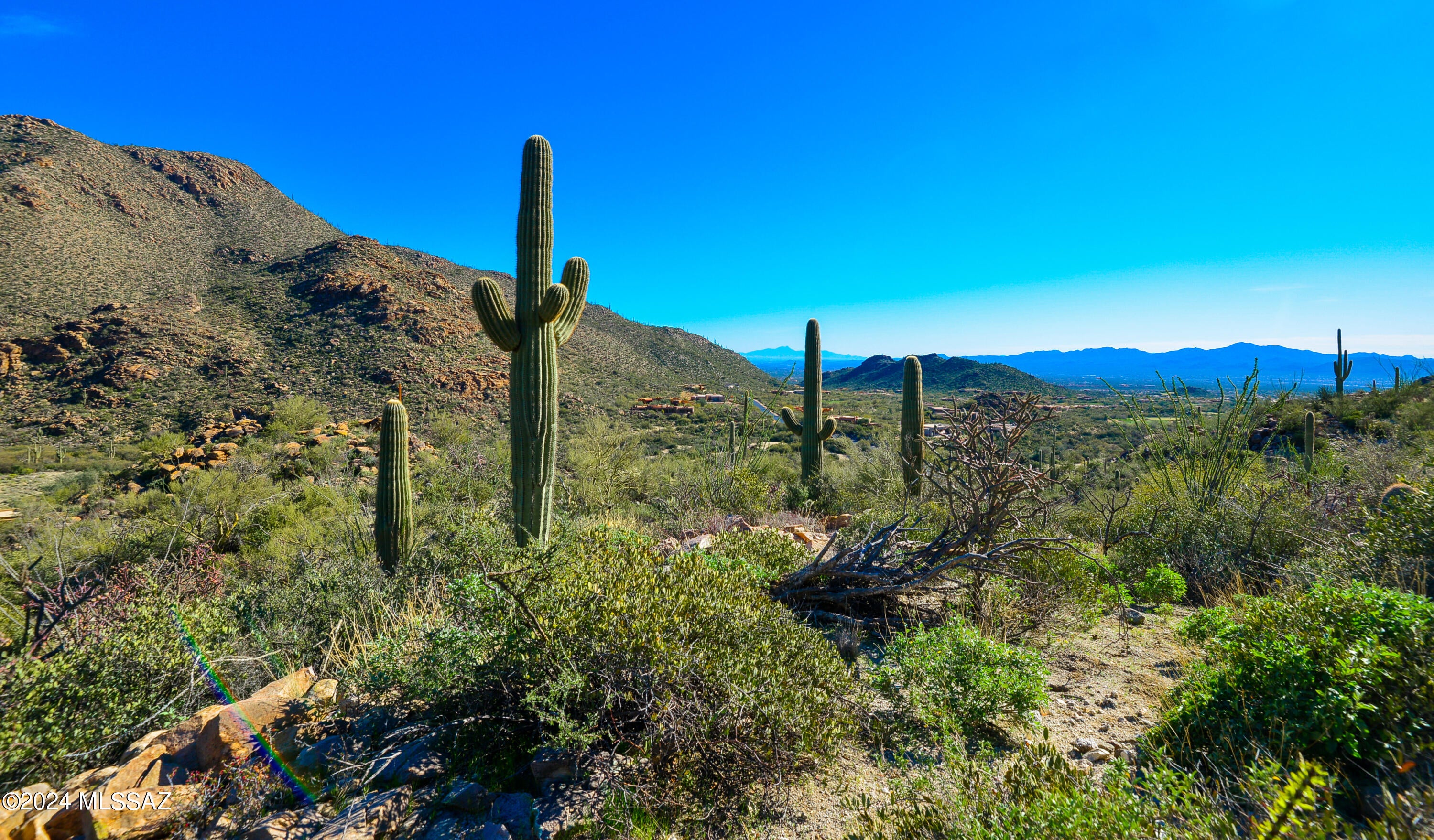 Canyon Pass II At Dove Mountain (49-110) - Land