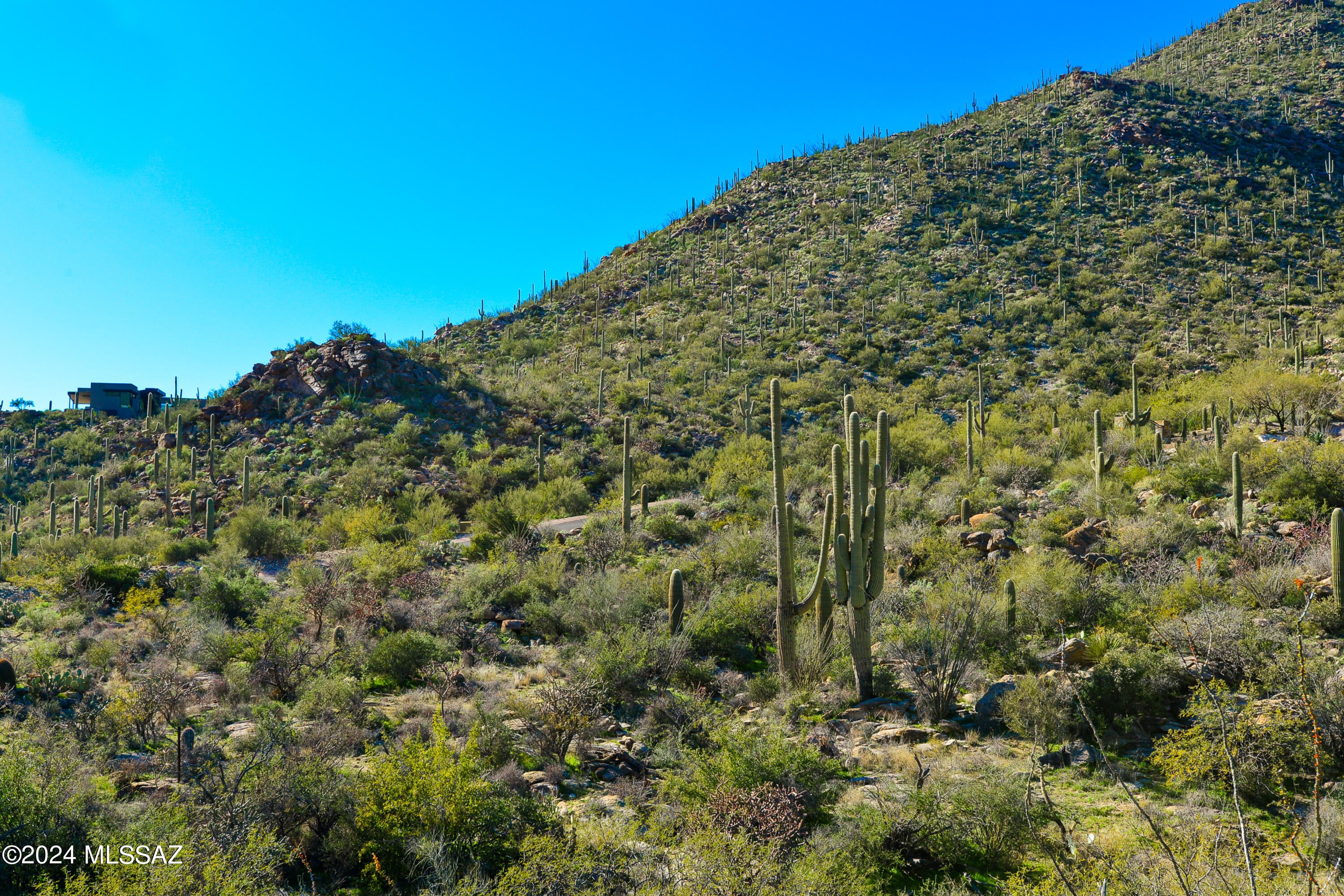 Canyon Pass II At Dove Mountain (49-110) - Land