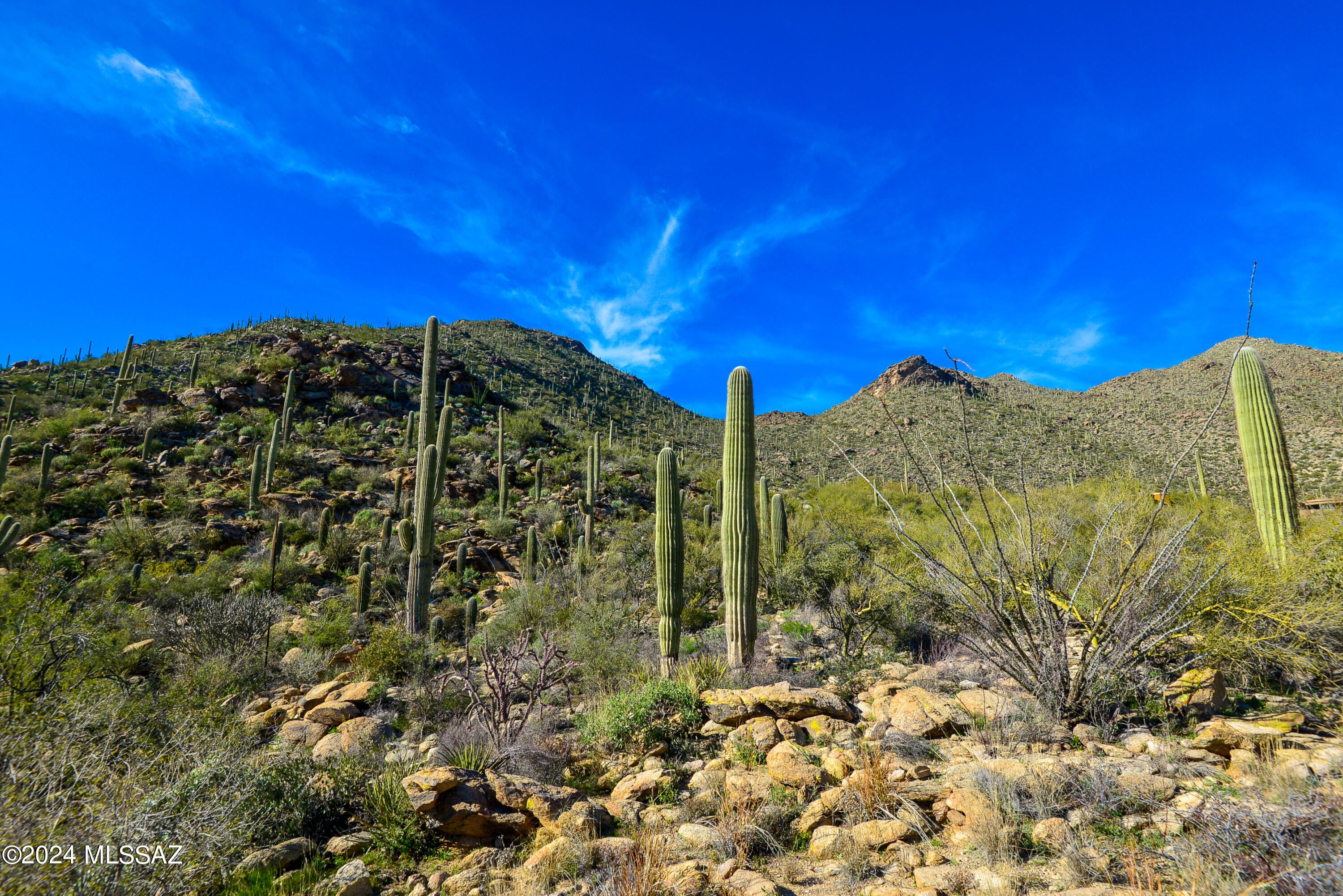 Canyon Pass II At Dove Mountain (49-110) - Land