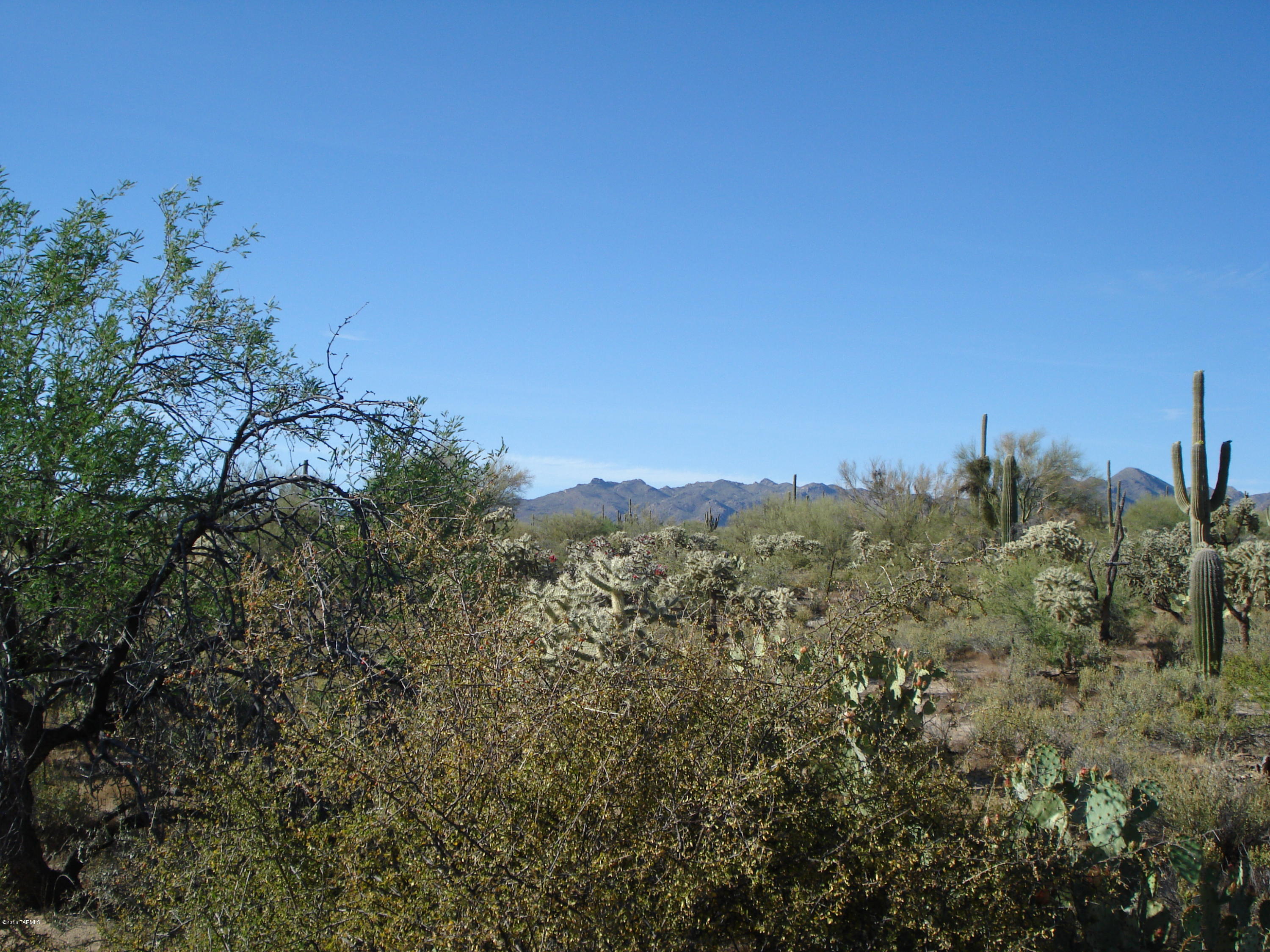Beautiful lush desert vegetation. Totally awesome views. Peace Quiet Serenity abounds on this property. State land to the West and Pygmy Owl preserve to the north. Can be split into 2.5 acre lots. Site built home only. So build your dream home, sit back and enjoy the gorgeous views.