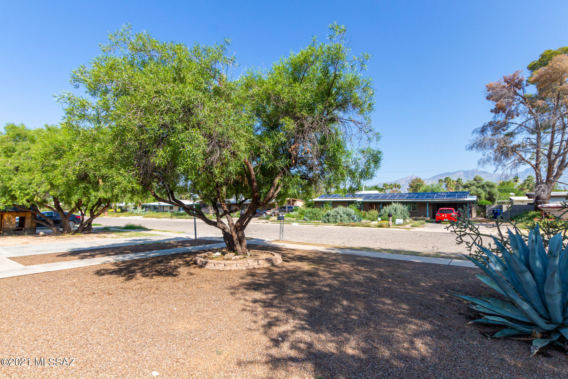 Carlos Terrace - Residential