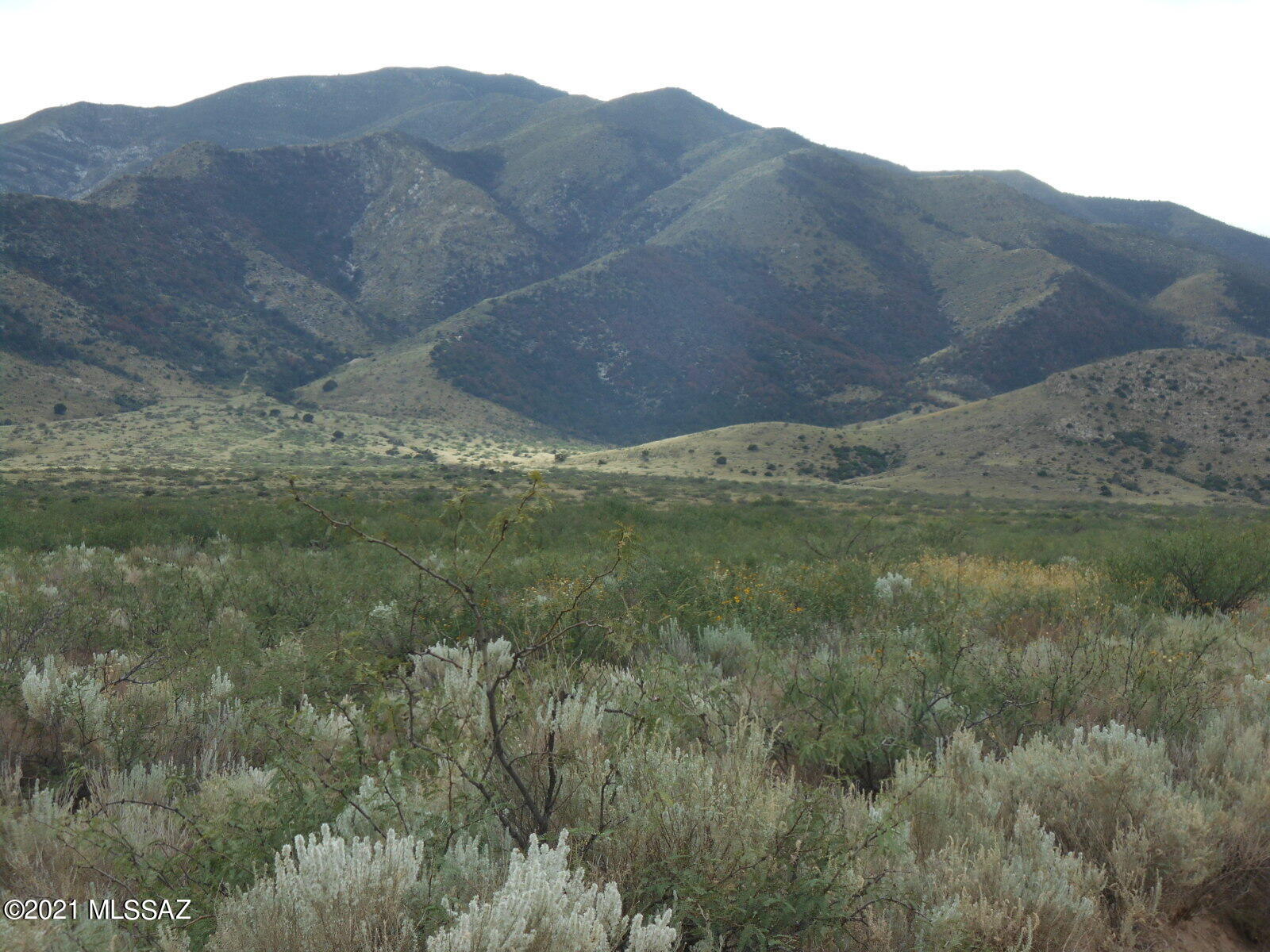 BIG PRICE REDUCTION on this BEAUTIFUL 20 Acre parcel on the Eastern slope of the Dragoon Mountains with a spectacular view of the Cochise Stronghold. A lovely, peaceful, serene setting that would be a wonderful location to build your custom home.  Power on the lot line and many desirable building sites on this 20 acre parcel, with plenty of room for your livestock. Would make a beautiful location for a horse property, that is within riding distance of Apache Chief Cochise's Stronghold with miles and miles of trails to ride on. Saddle up, or jump on your ATV and explore to your heart's content! Wildlife galore and wonderful opportunities for hiking, birding, or just about anything you can imagine! Don't wait too long!