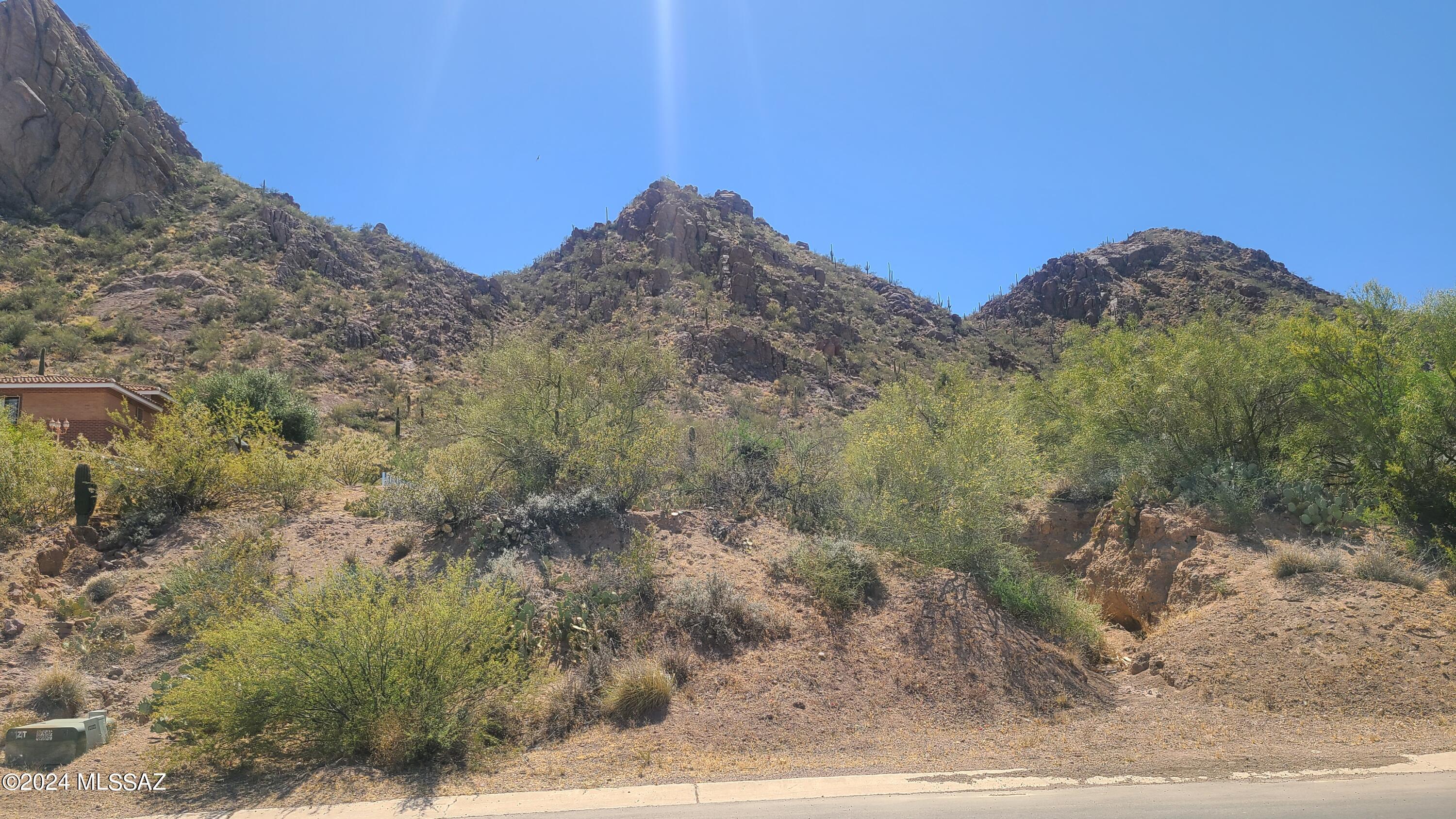 Manzanita Terrace II - Land