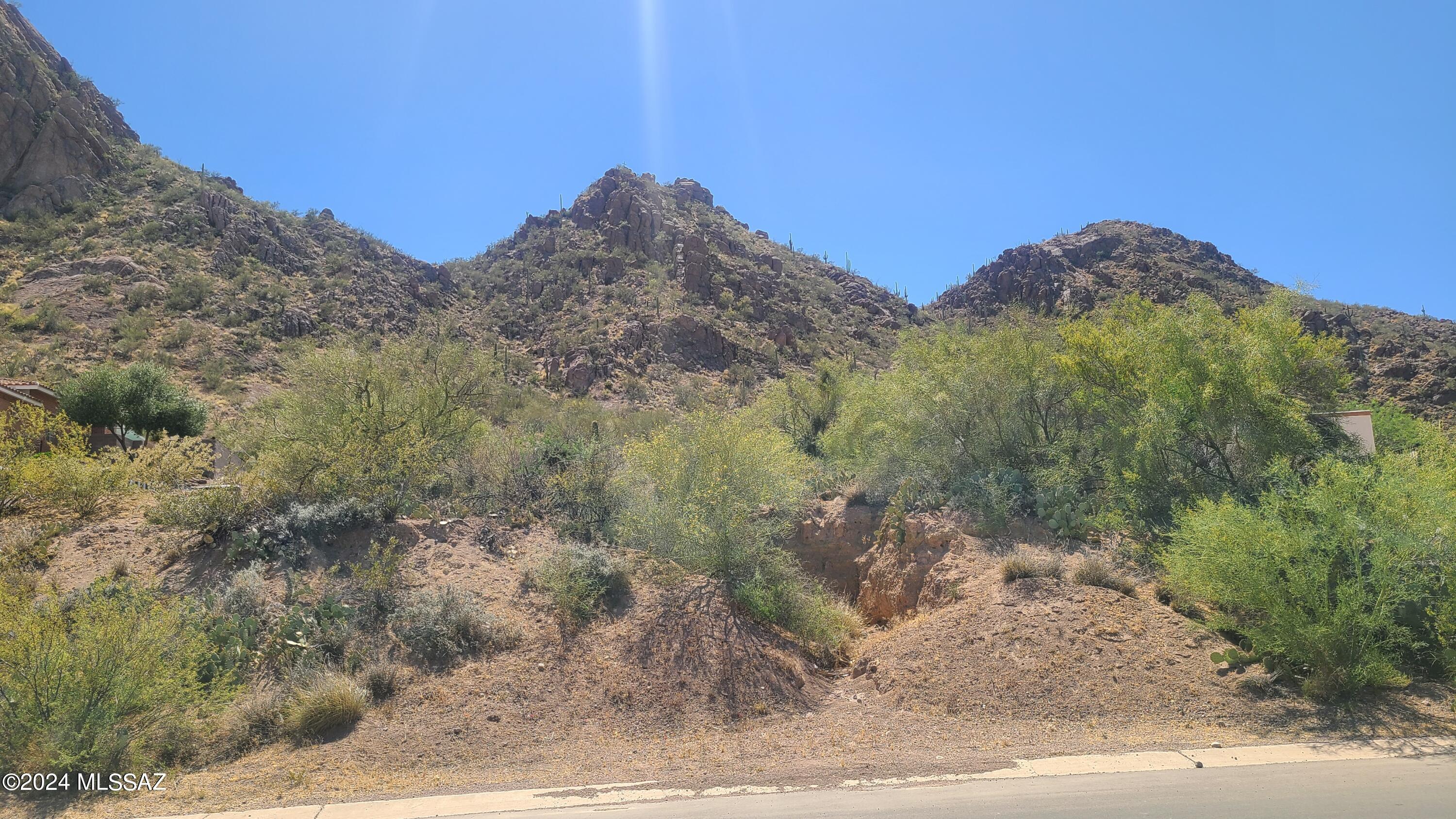 Build your dream home on this rare lot on the Southwest side of Tucson.  The property is surrounded by luscious natural desert and mountain views.  A true desert oasis awaits you!