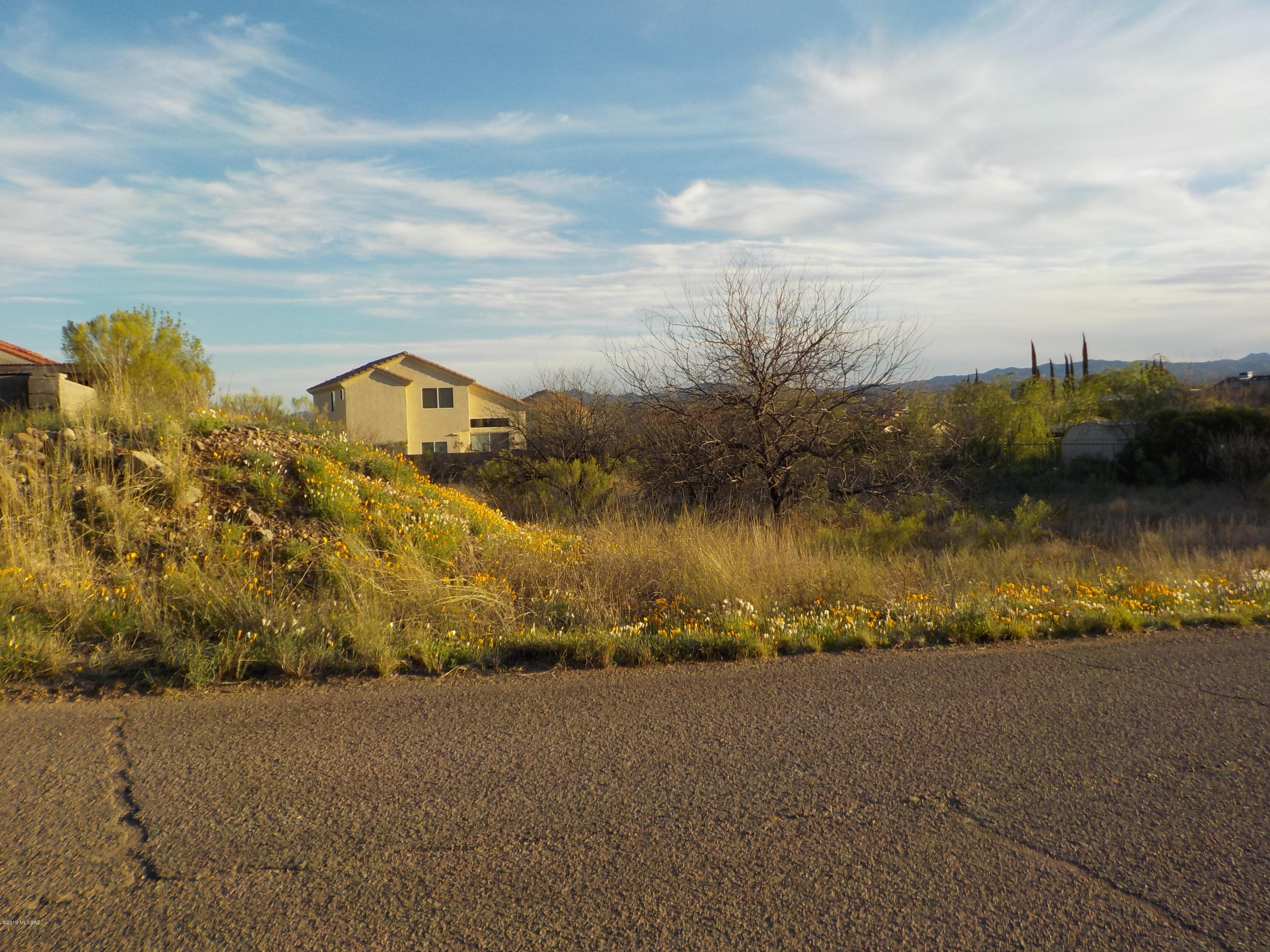 Rio Rico Estates 3 - Land