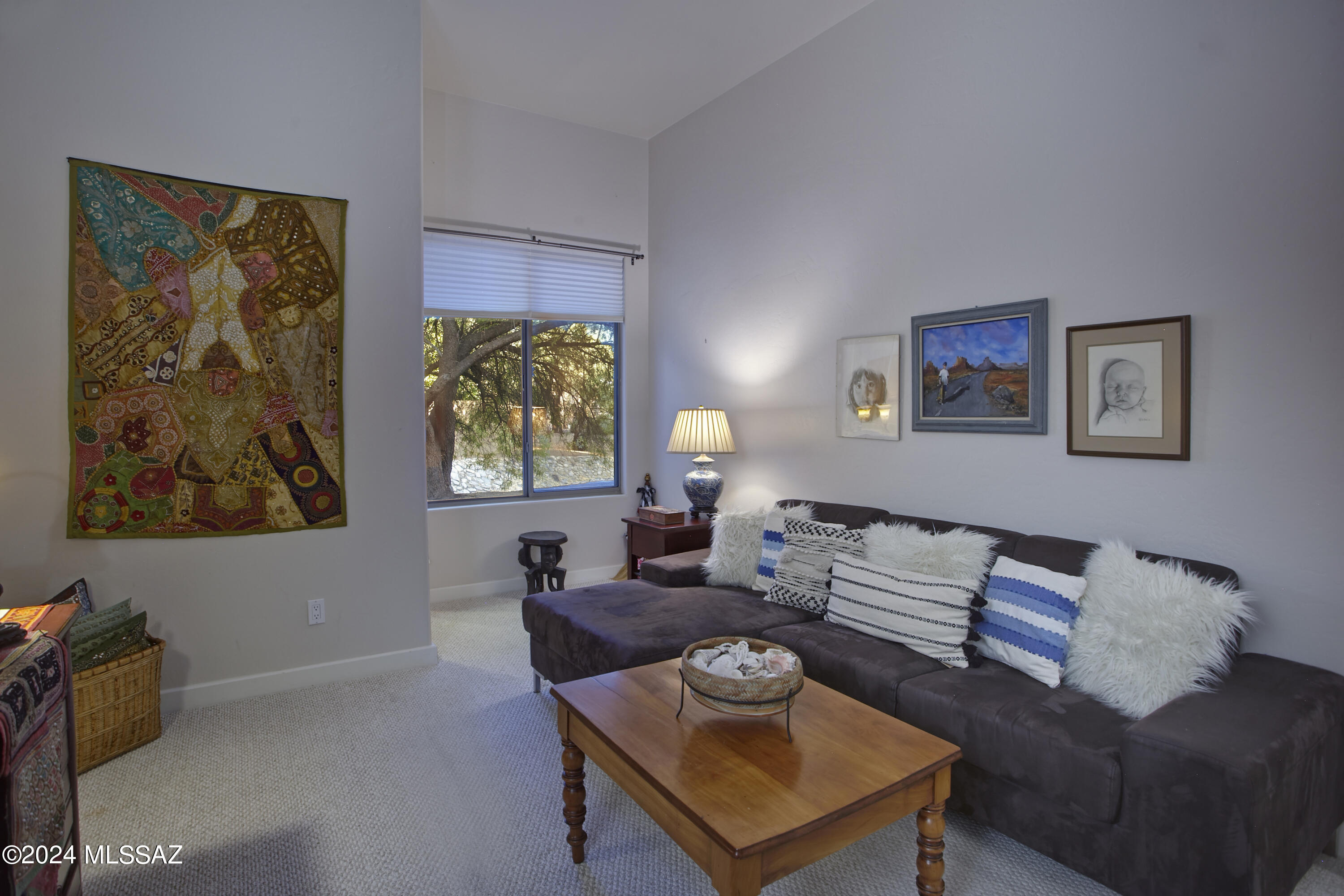 Ventana Country Club Estates (1-67) - Residential
