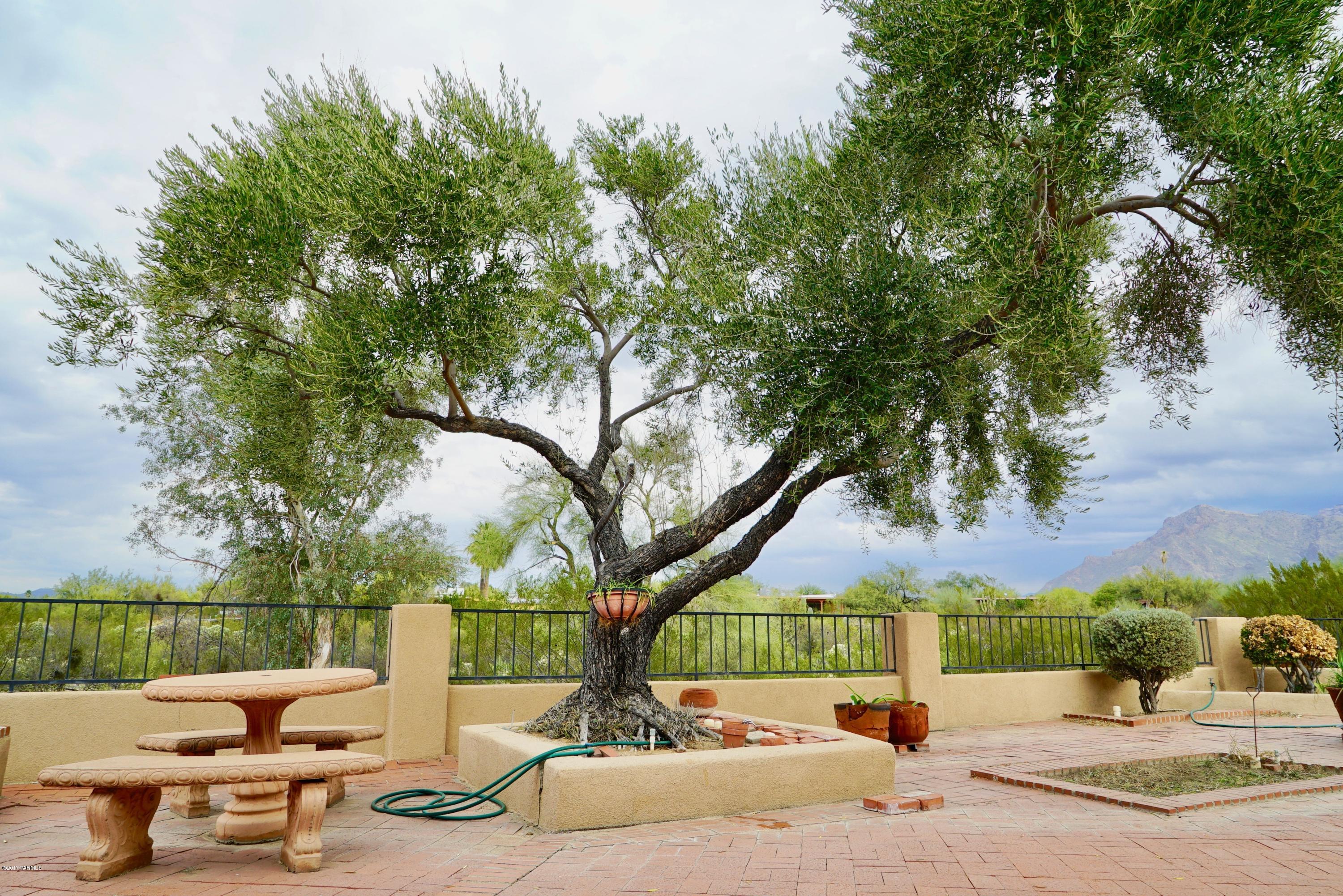 Oracle Heights Estates - Residential