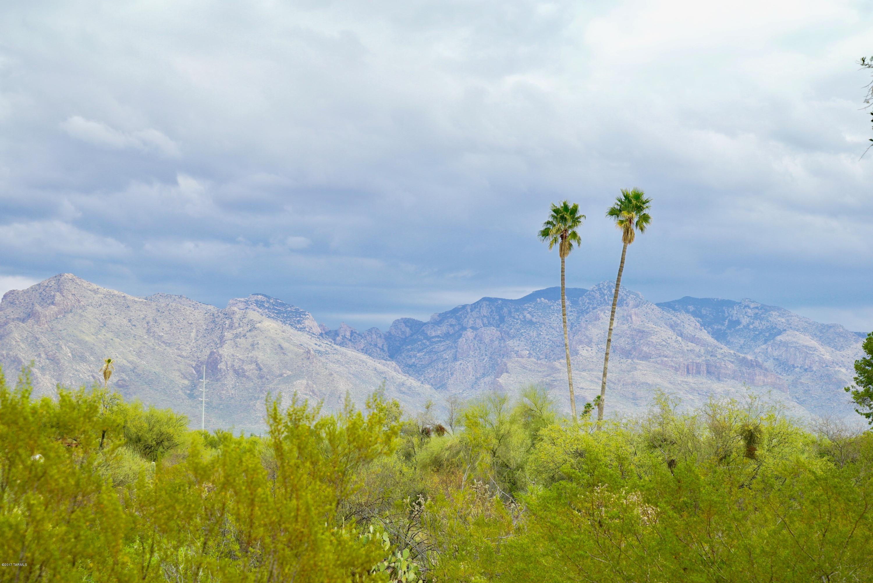 Phenomenal deal for this 1.45 acre parcel w/ Million Dollar views of the Catalinas! This 4 bedroom 2 bath Ranch stye block home has been impeccably maintained for the last 35 yrs by same owners. Seller put dual paned Pella Windows & Pella slider door for max energy efficiency. Gas Furnace, AC. Over 9000 hand laid bricks in the yard, planter beds. Workshop room/ Storage under carport to back patio. Privacy abounds! Seller has done survey for you! Don't wait! Deals like this don't come around too often. Survey done & in attached documents. Home being sold- As-is, no known issues, They just can't do updates. 2-10 Home warranty offered to buyer bringing acceptable offer to seller. Fireplace has insert for gas. Built in bookshelves & China Hutch in family room.