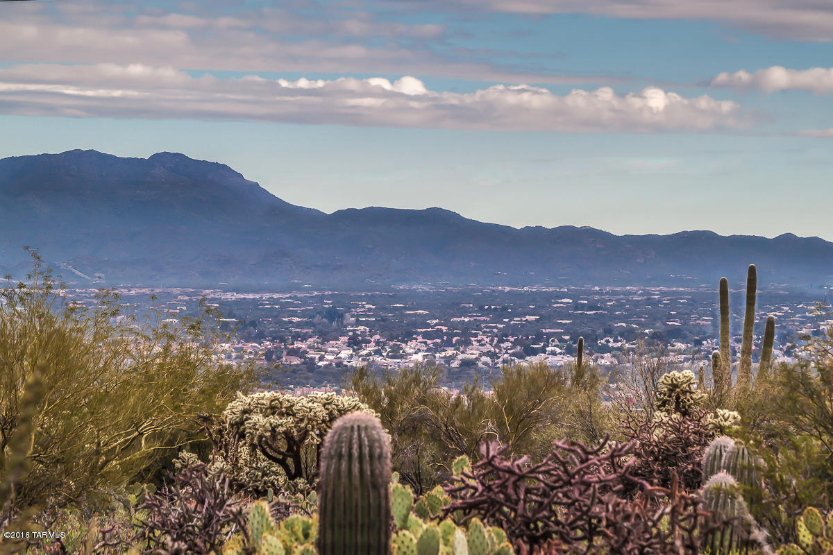 Lush native desert populates this usable 3.45 acres awaiting a custom dream home.  Enjoy the views in all directions - sunrise, sunsets, mountain ranges, and city lights. Wow! EZ access to I-10 and Ina Road shopping and Tucson amenities.  Minutes away from everything yet remote and tranquil.  Owner might consider trade for property in Colorado or Texas.
