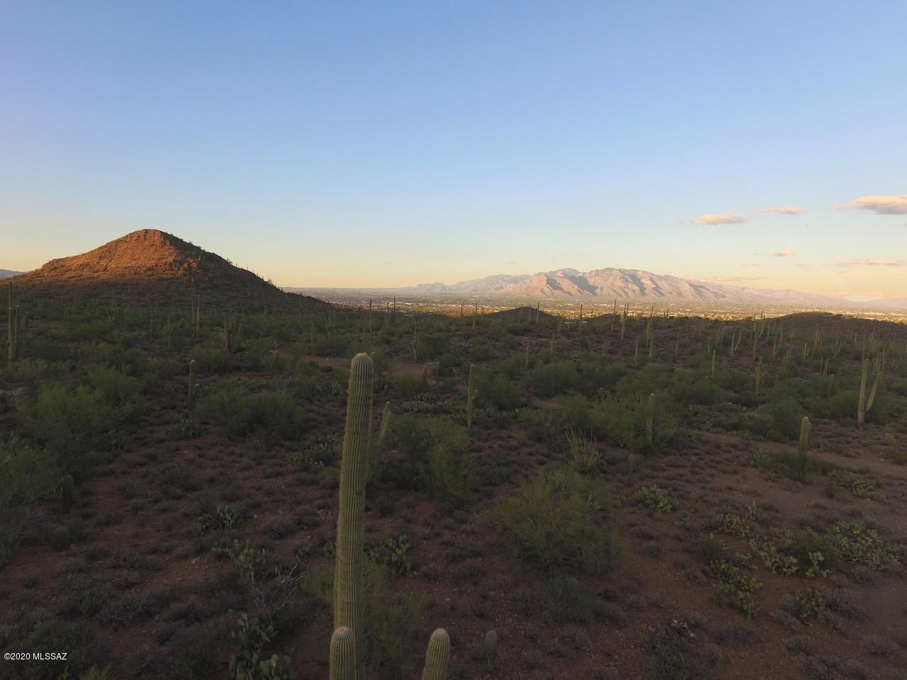Incredible city and mountain views! Natural, beautiful surroundings of Ocotillos and Saguaros in this elite neighborhood. Some of the finest home sites of the west! .Gated access off paved road, No HOA, but restrictions apply that will run with the land. Seller to provide water and elec to your property line. Walk to State Land with bike and horse trails.One of (4) 10 acre parcels available. These  are truly incredible, one of a kind,10 acre lots. Lots can be split.
