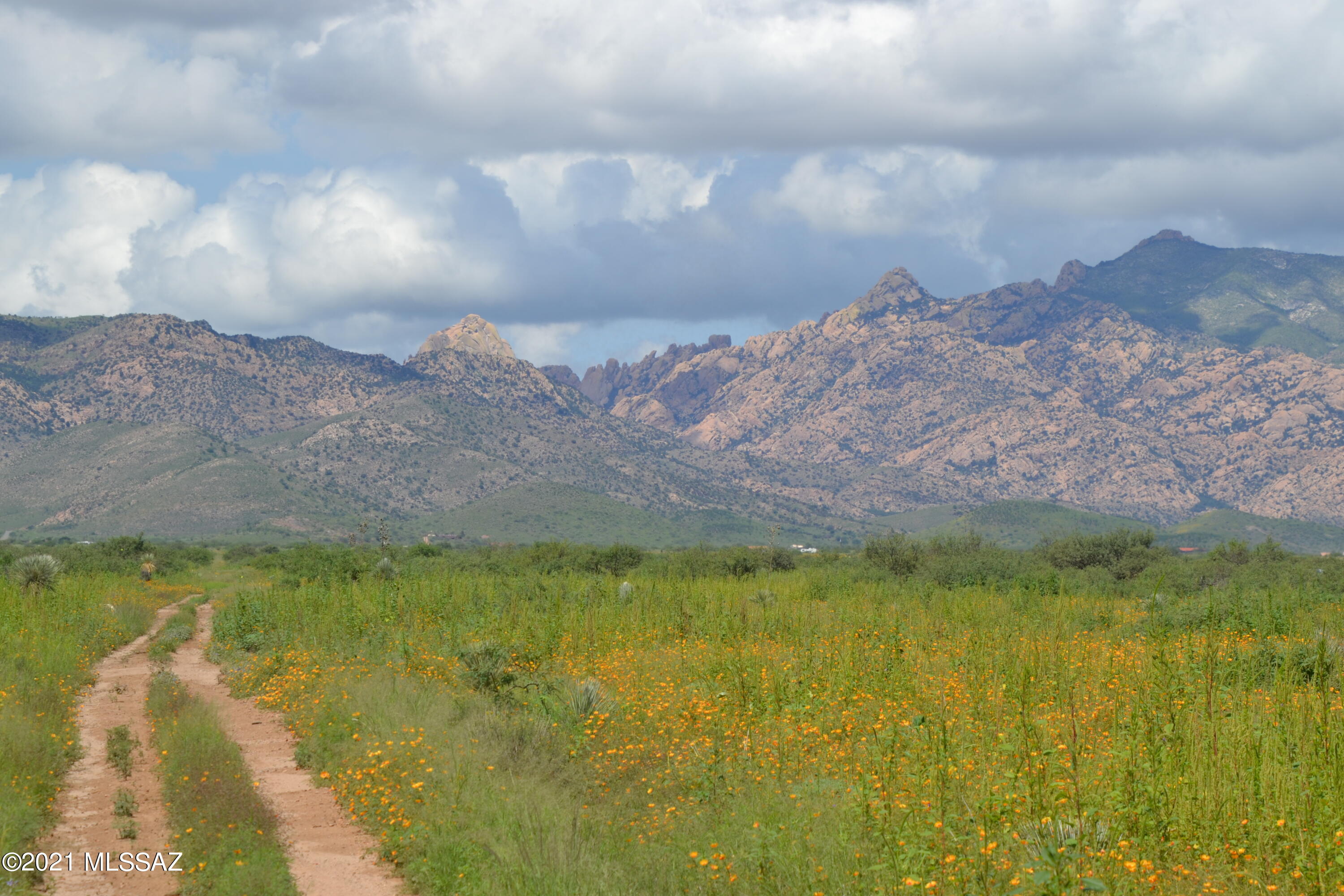 Arizona Sun Sites - Land