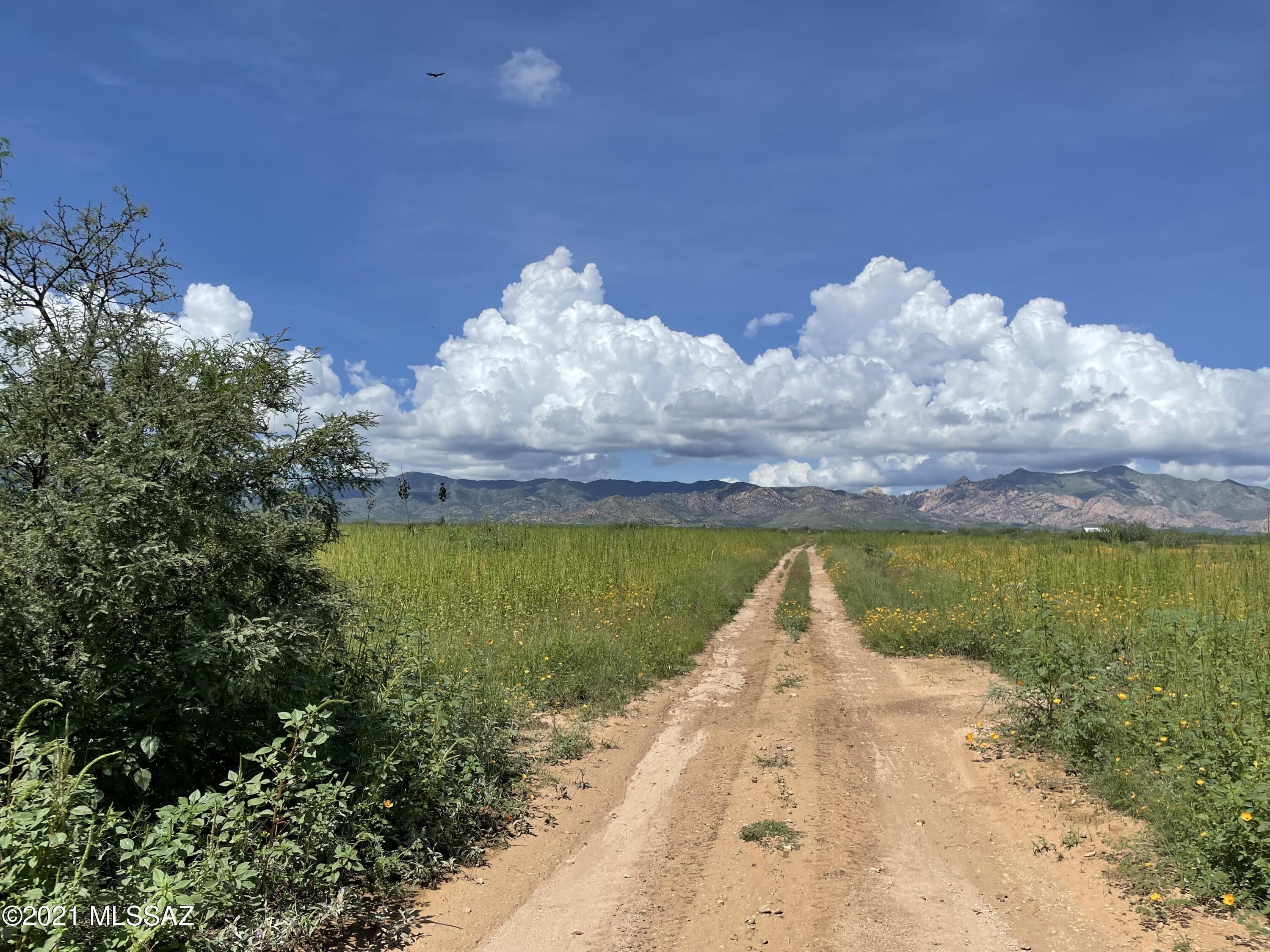 Arizona Sun Sites - Land
