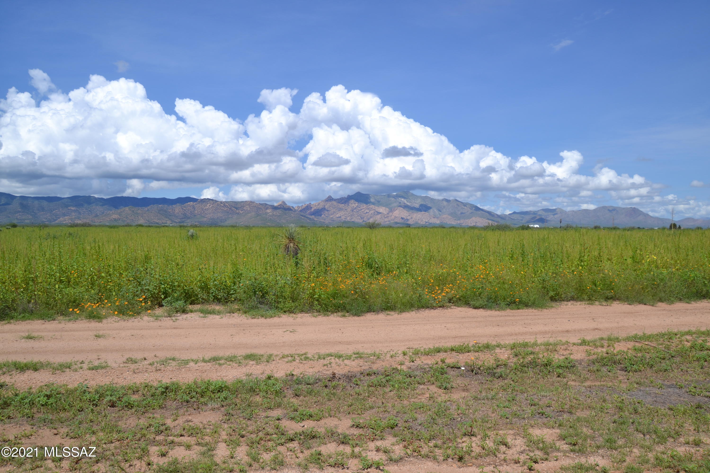 Arizona Sun Sites - Land