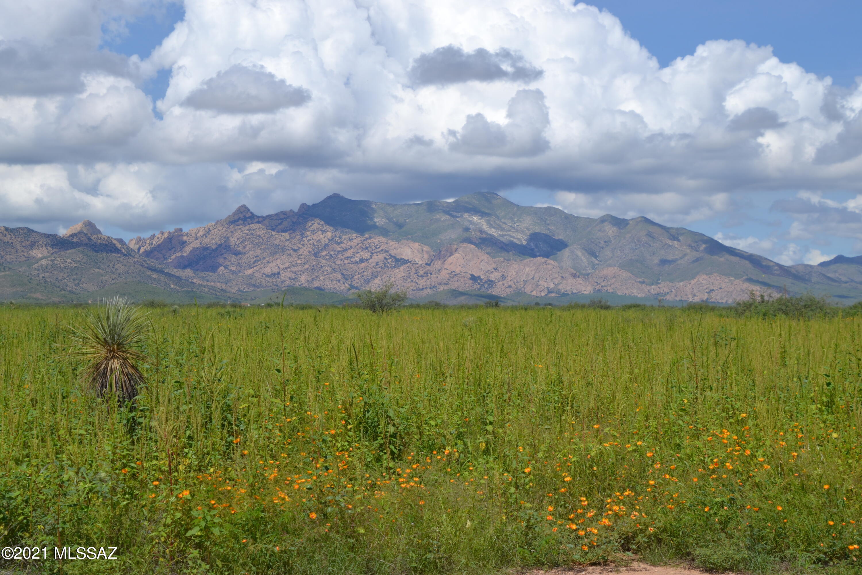 Arizona Sun Sites - Land