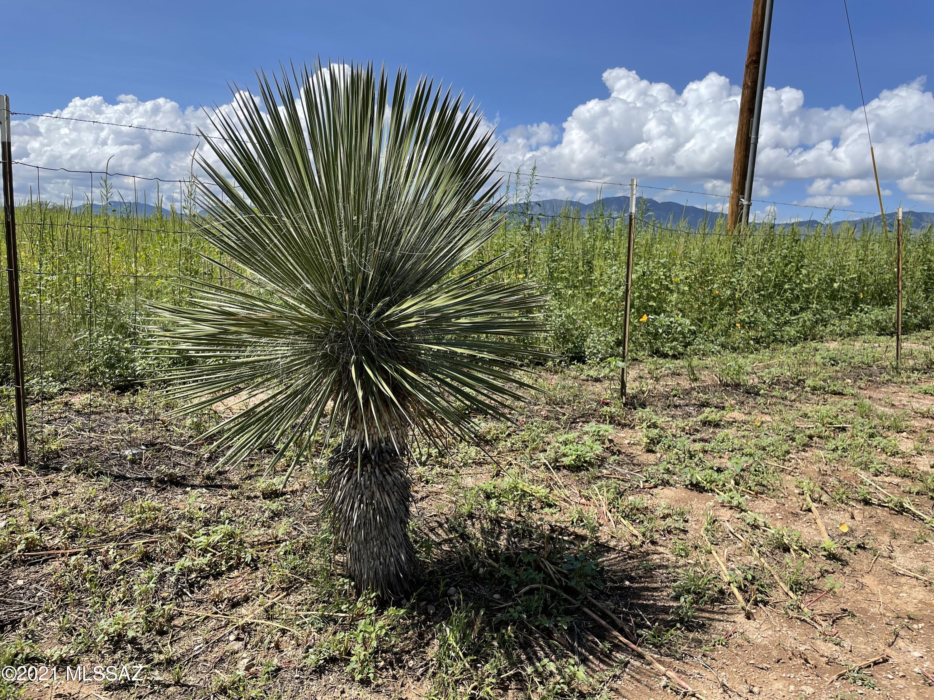 Arizona Sun Sites - Land