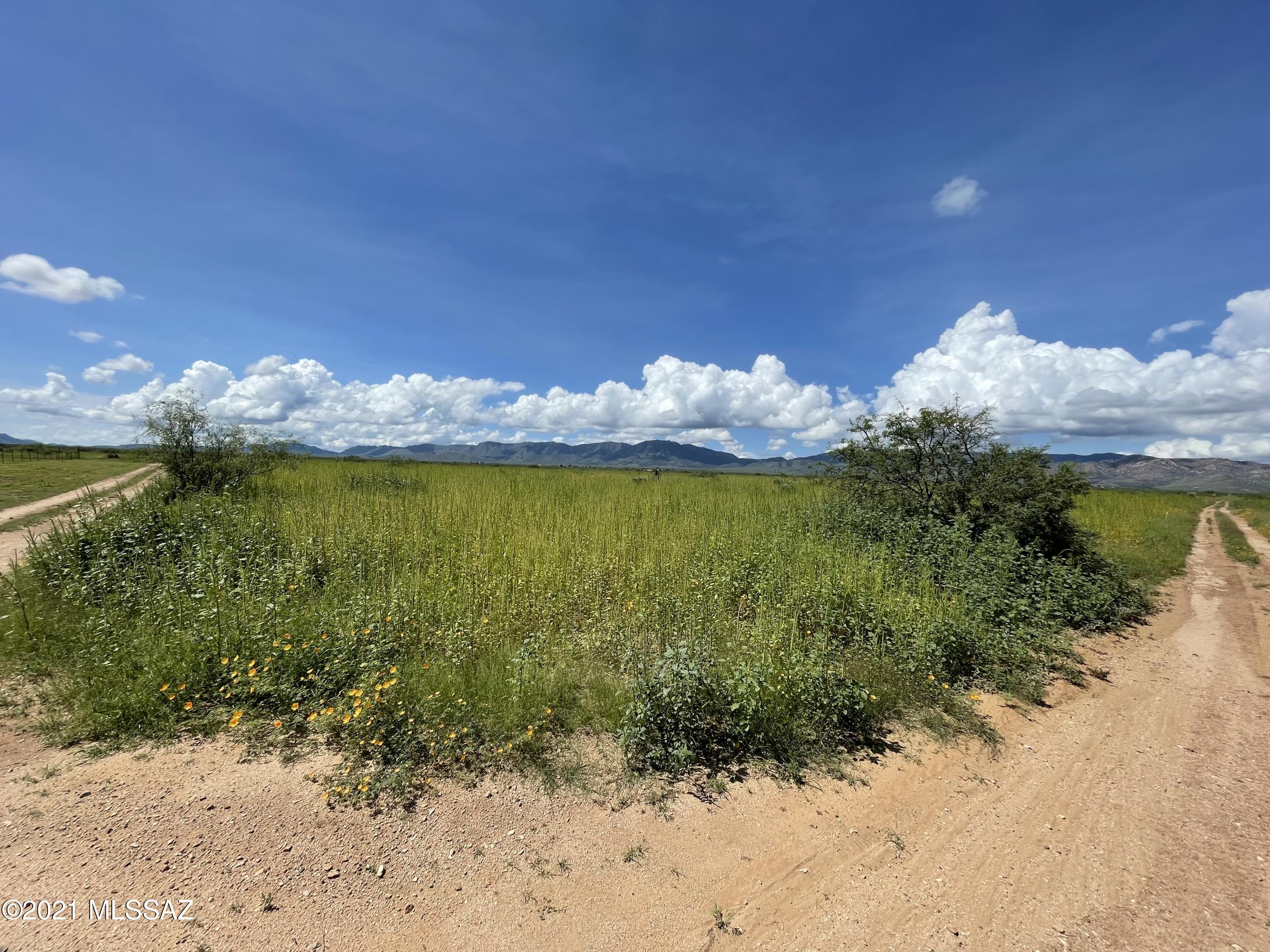 Arizona Sun Sites - Land