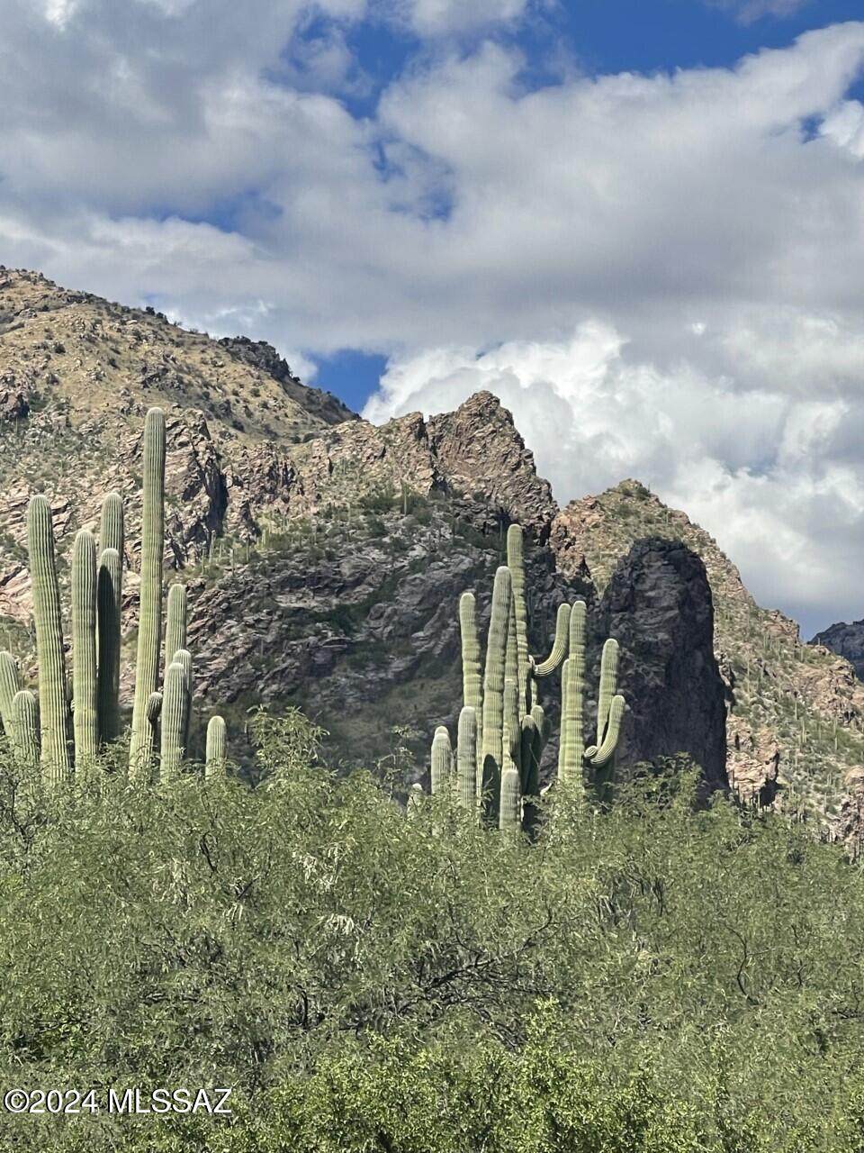Canyon View At Ventana Condominium (1-264) - Residential
