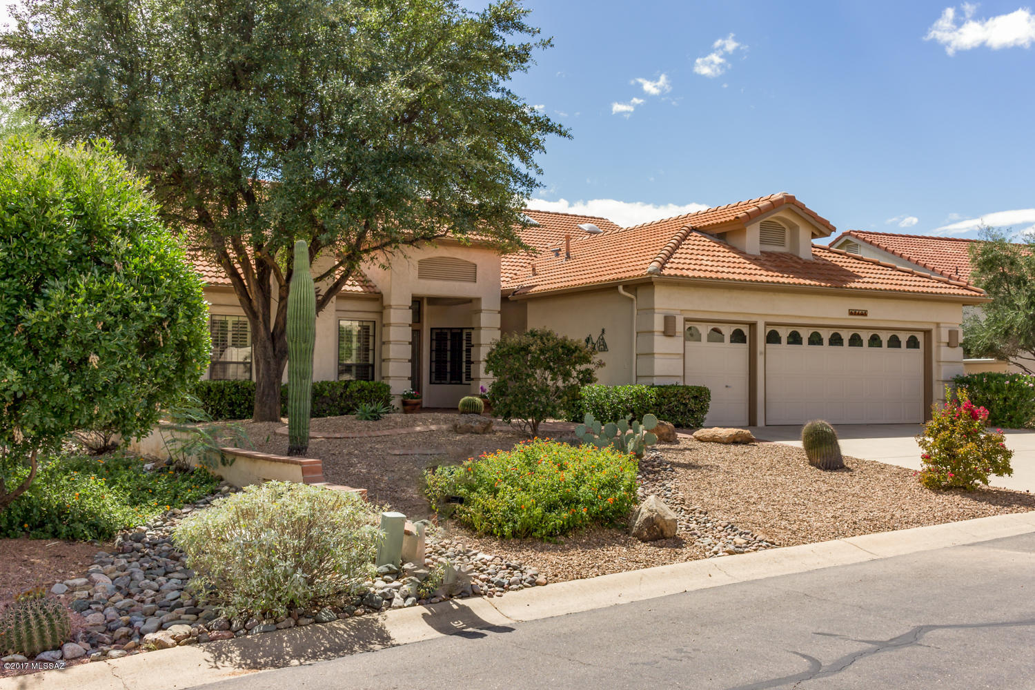 Saddlebrooke - Residential