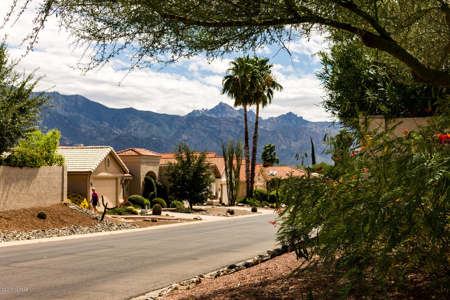 Saddlebrooke - Residential
