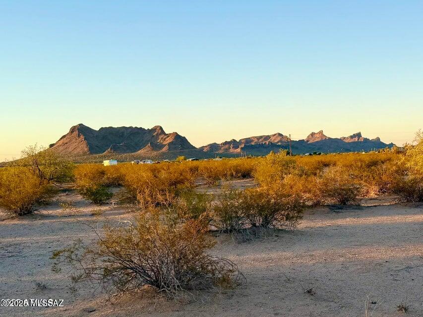 Out Of Pima County - Land