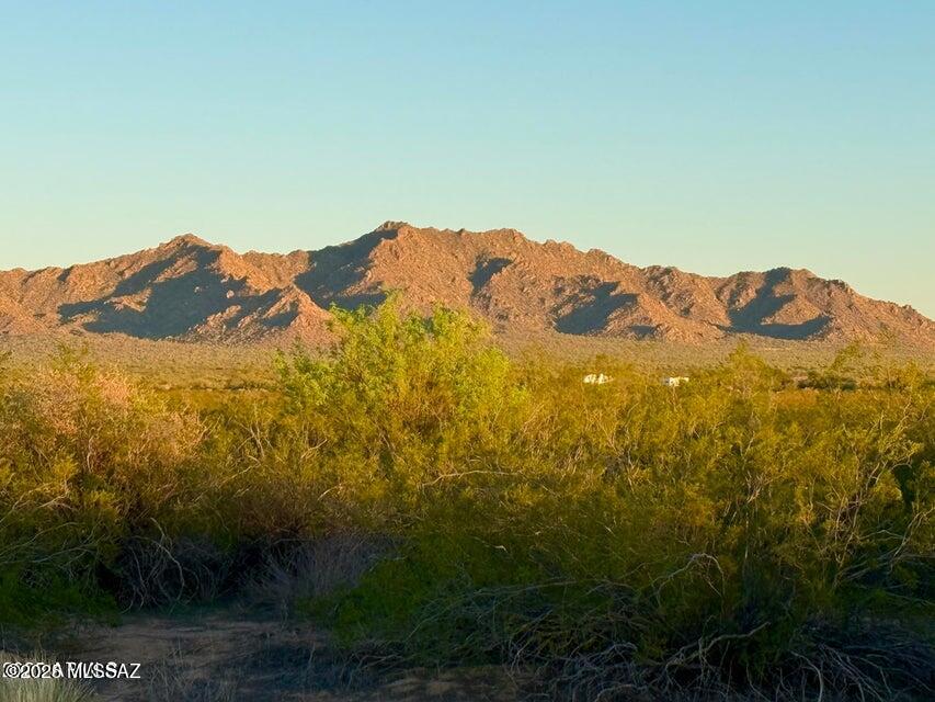Out Of Pima County - Land