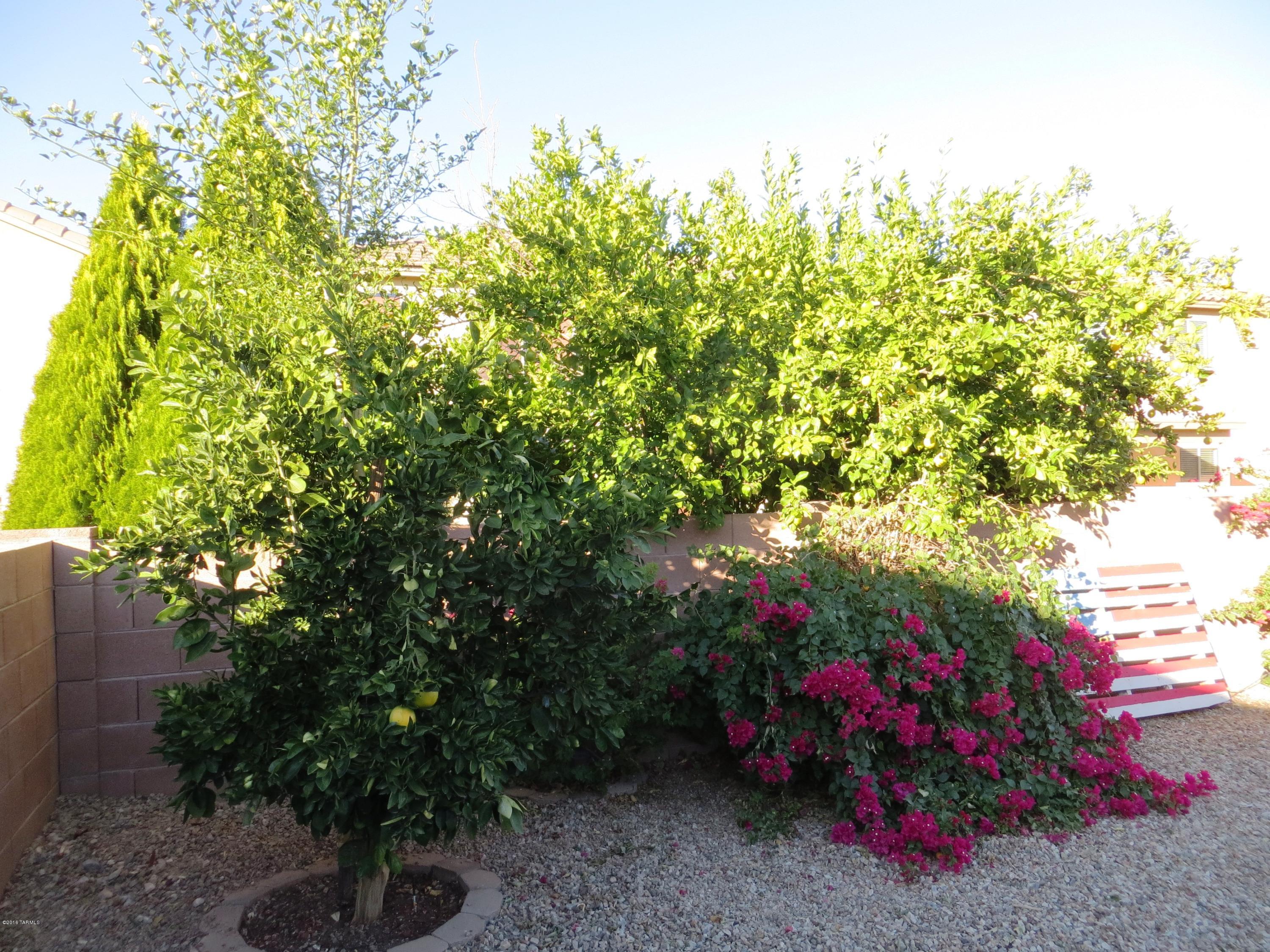 Valencia Reserve (1-326) - Residential