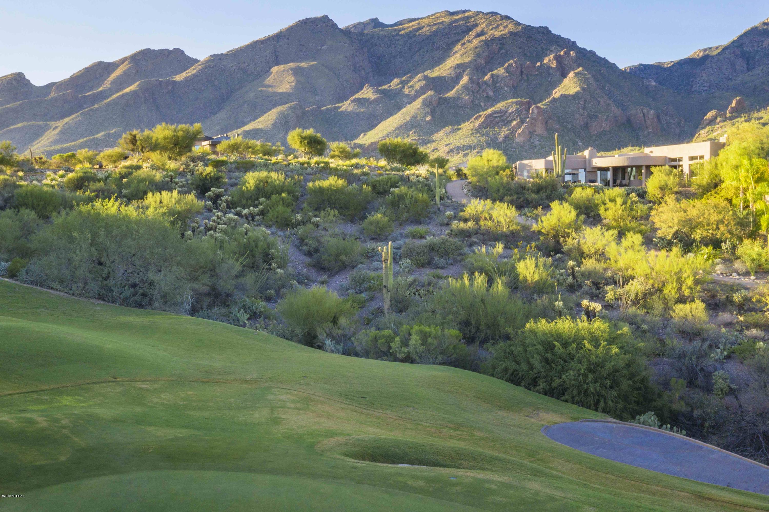 The Ridge At Ventana Canyon (1-63) - Residential