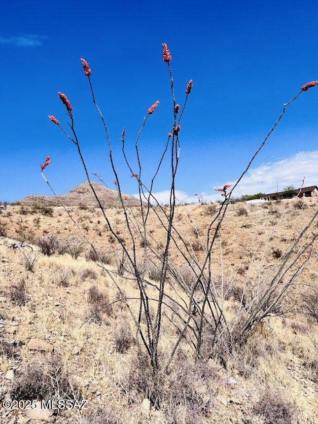 Rio Rico Ranchettes 3 - Land