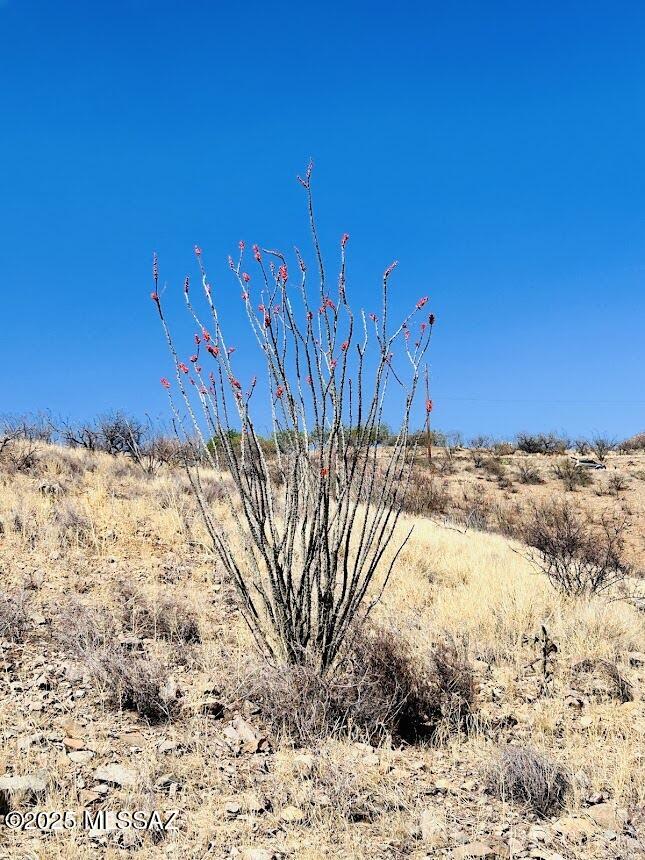 Rio Rico Ranchettes 3 - Land