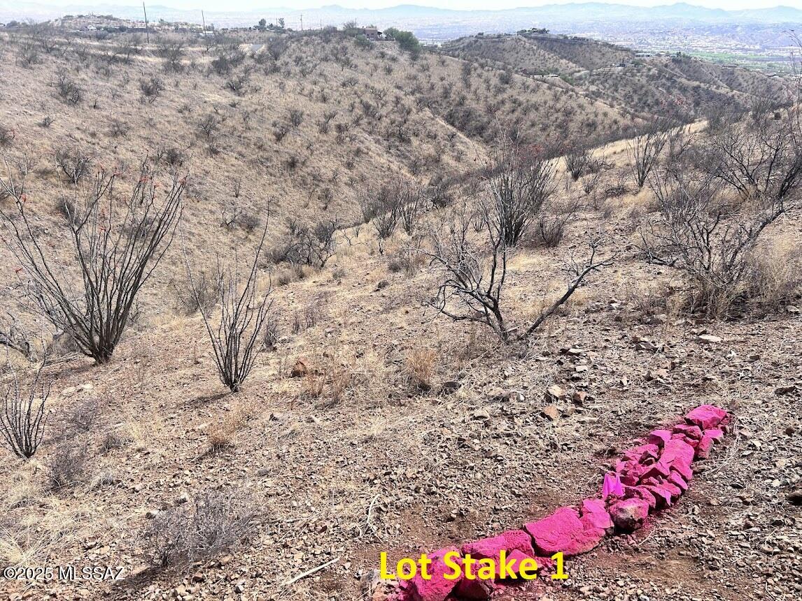 Rio Rico Ranchettes 3 - Land