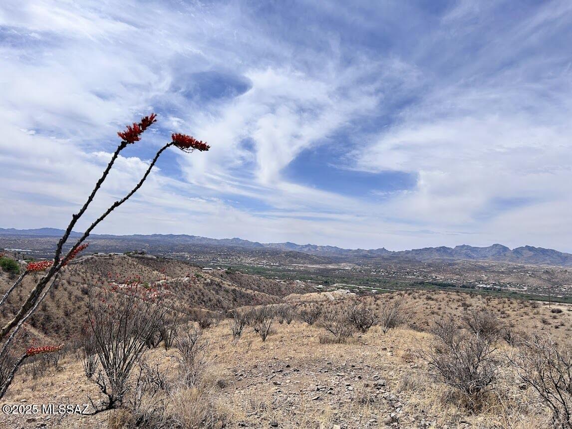 Rio Rico Ranchettes 3 - Land