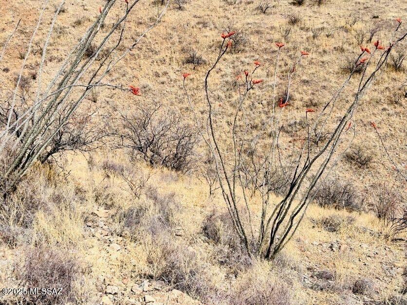 Rio Rico Ranchettes 3 - Land