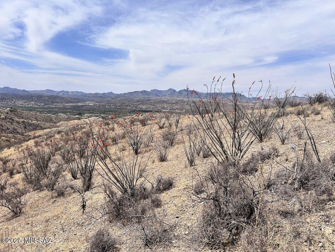 Rio Rico Ranchettes 3 - Land