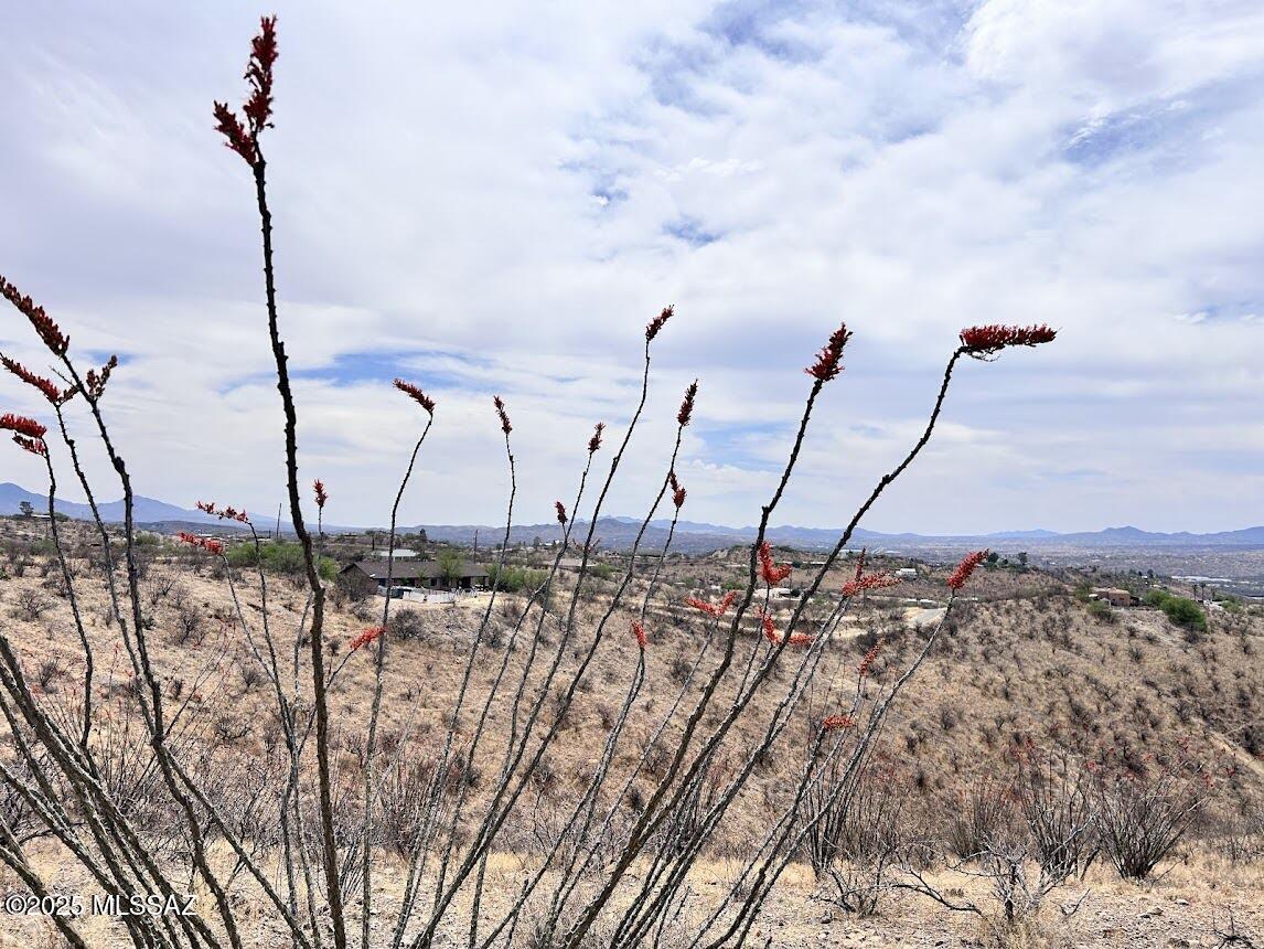 Rio Rico Ranchettes 3 - Land