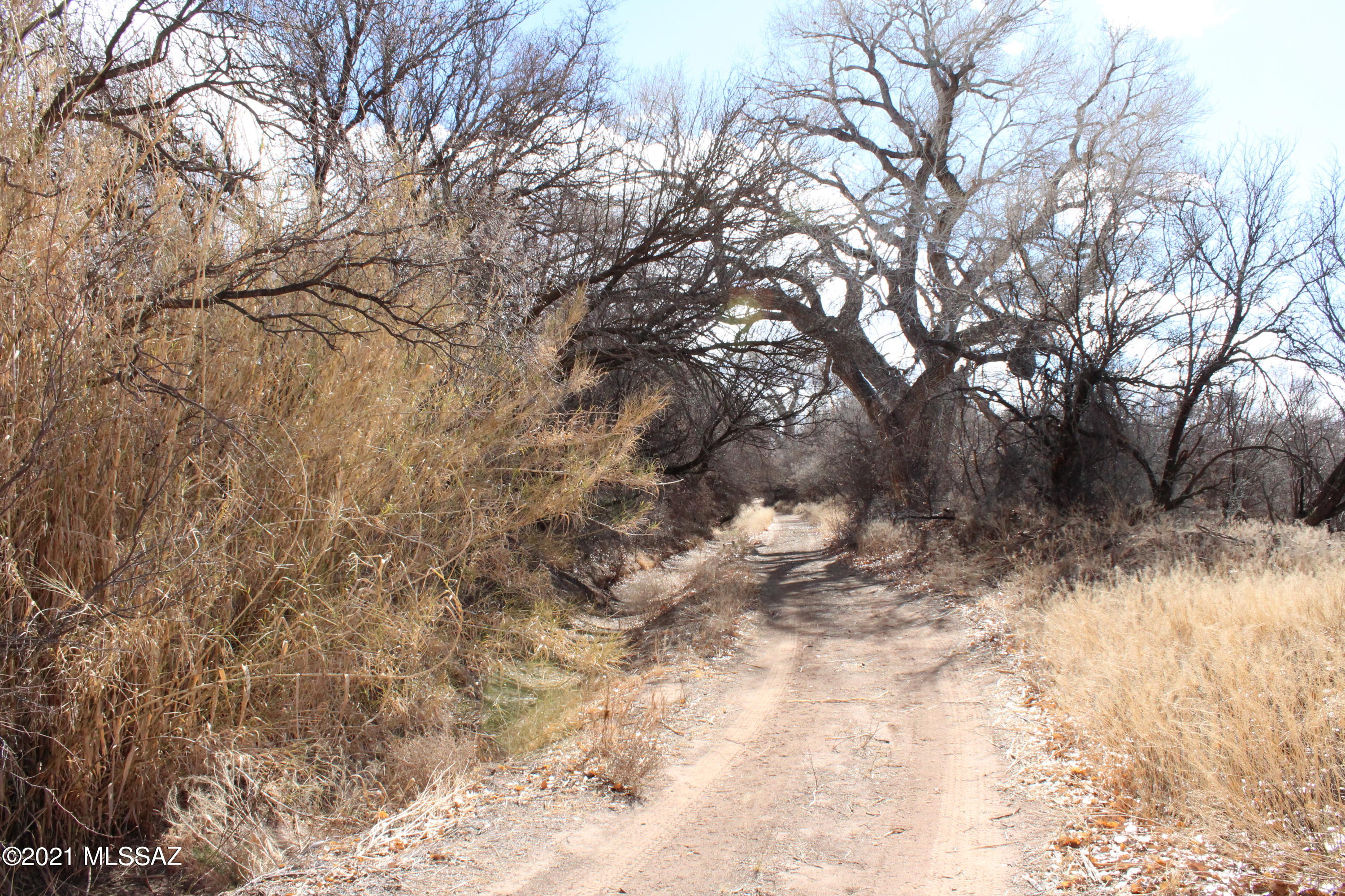 Out Of Pima County - Land