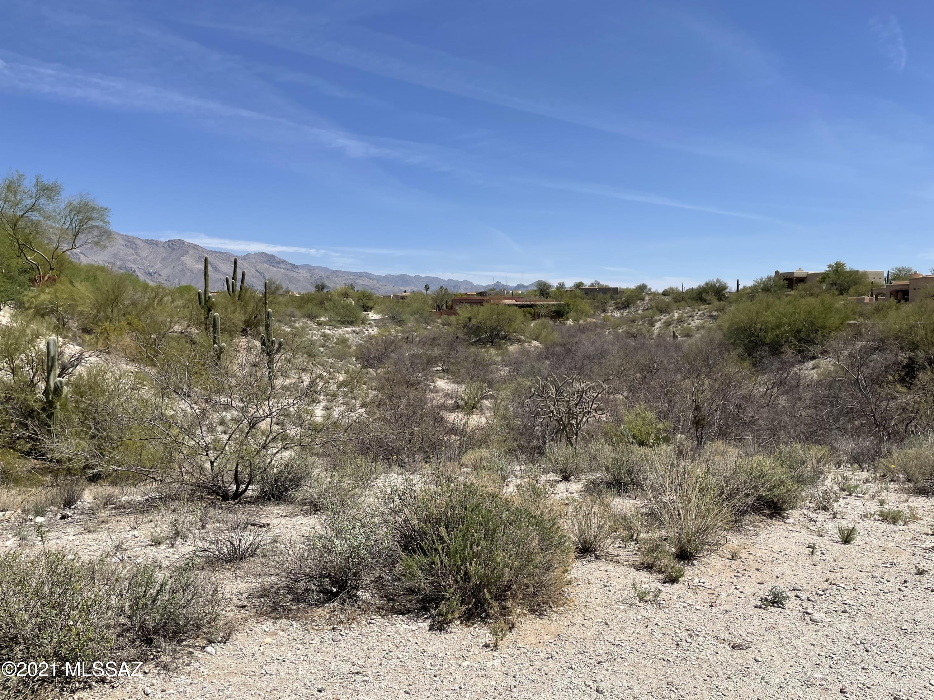 Bellas Catalinas Estates (1-93) - Residential