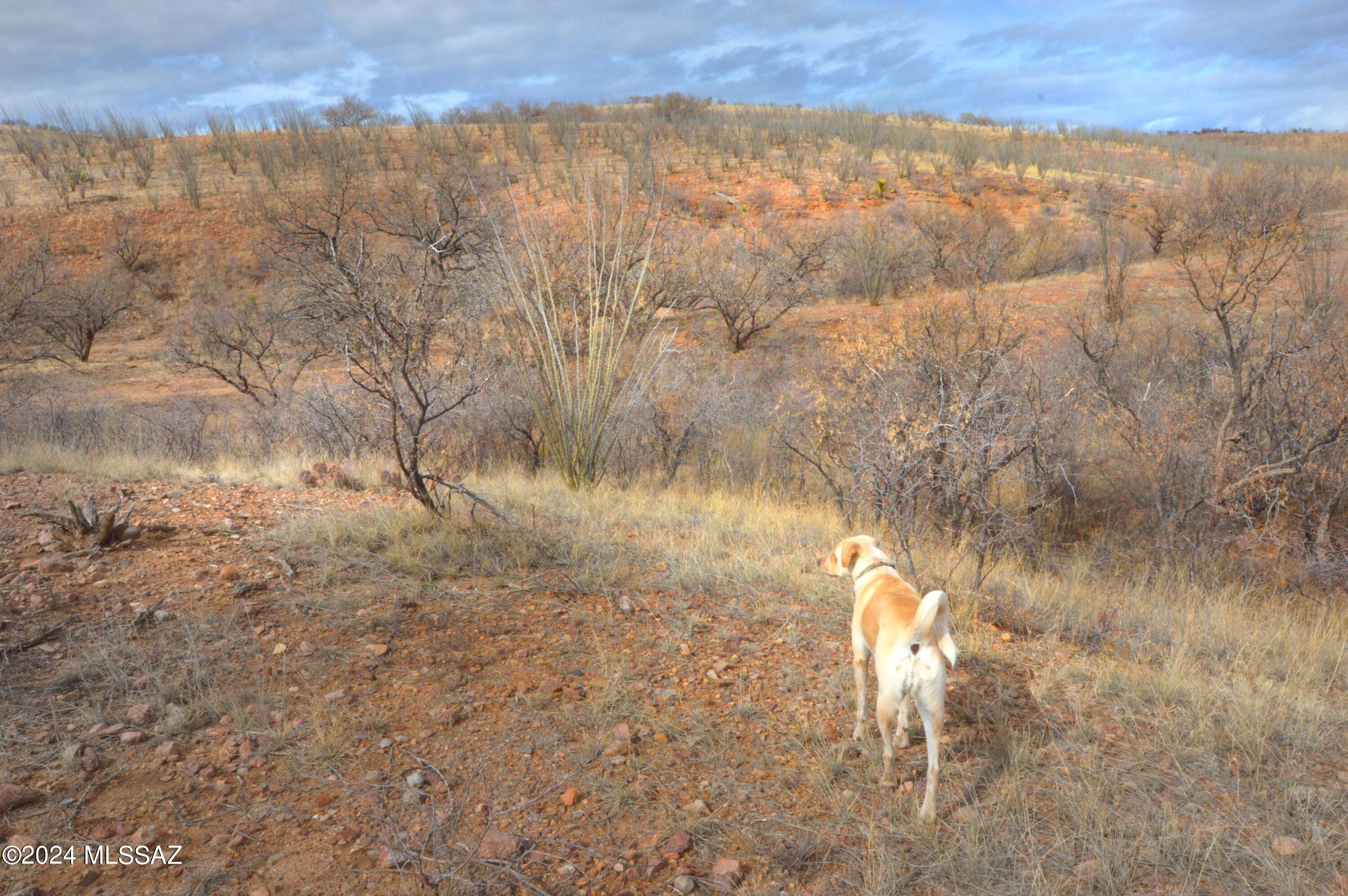 Lake Patagonia Ranch - Land
