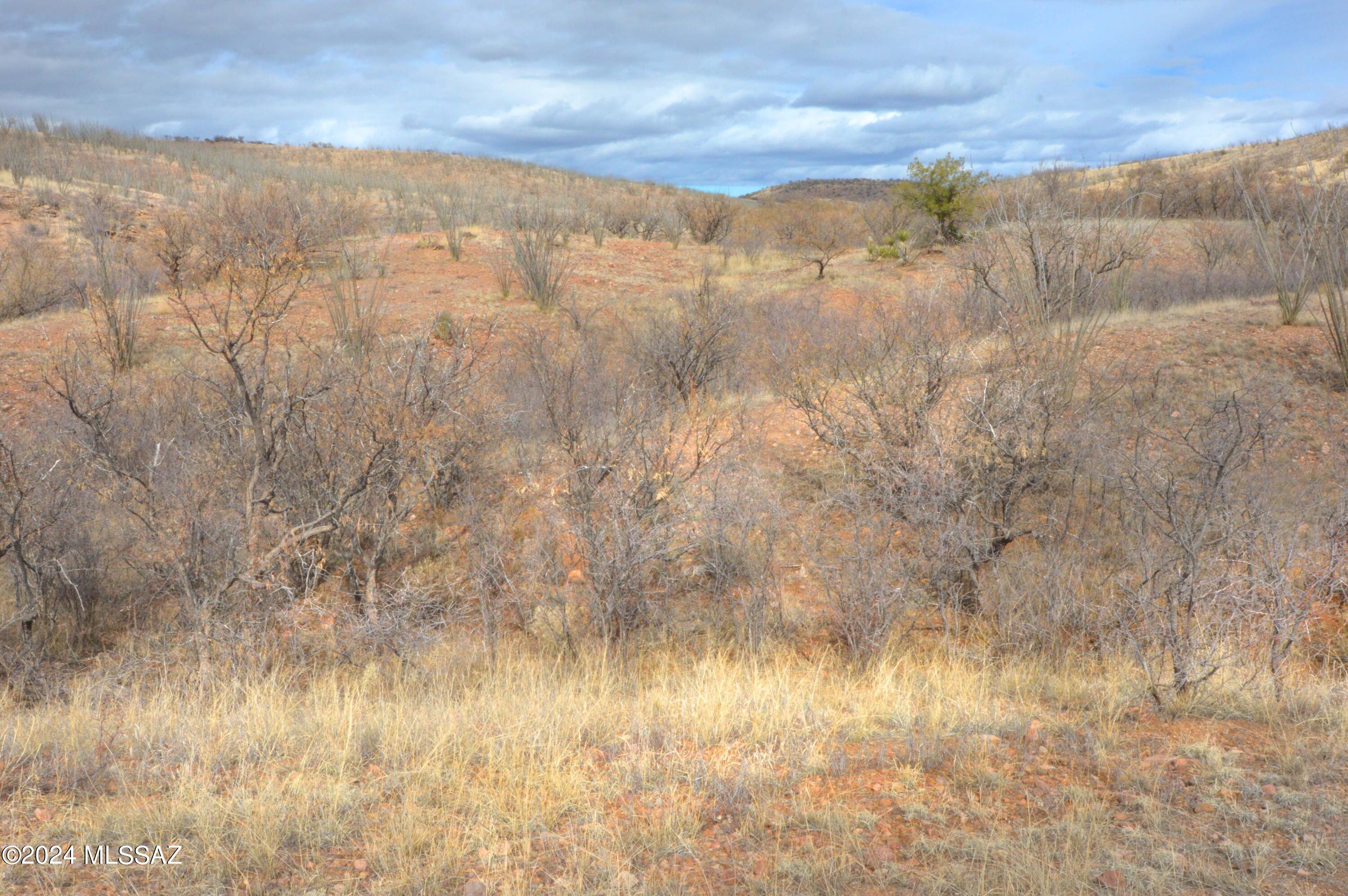 Lake Patagonia Ranch - Land