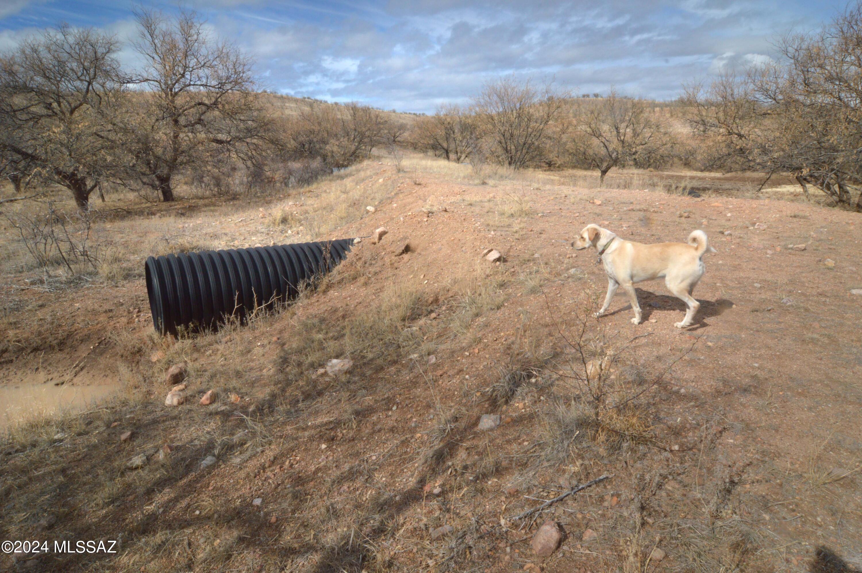 Lake Patagonia Ranch - Land